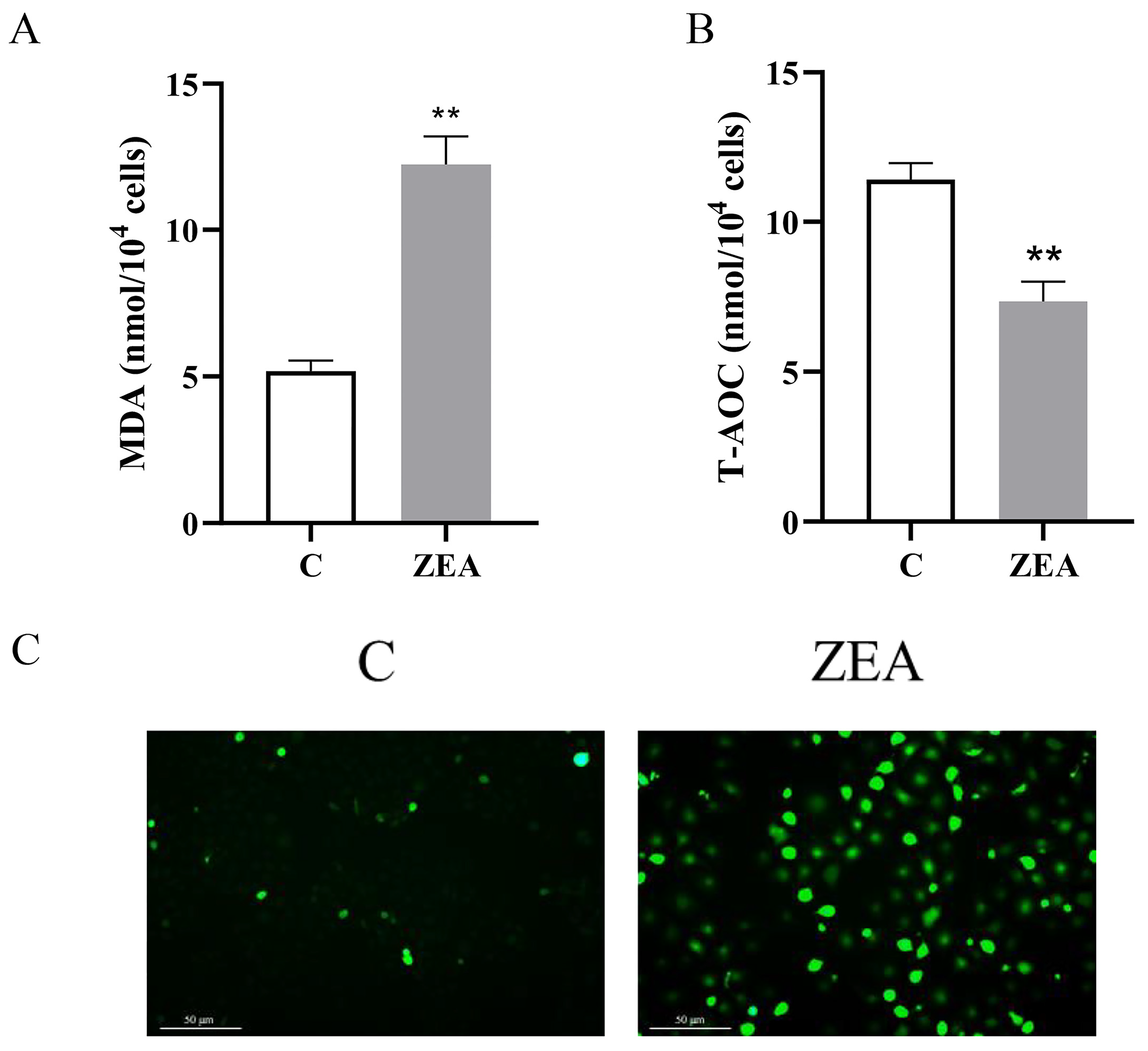 Animals 15 01050 g003