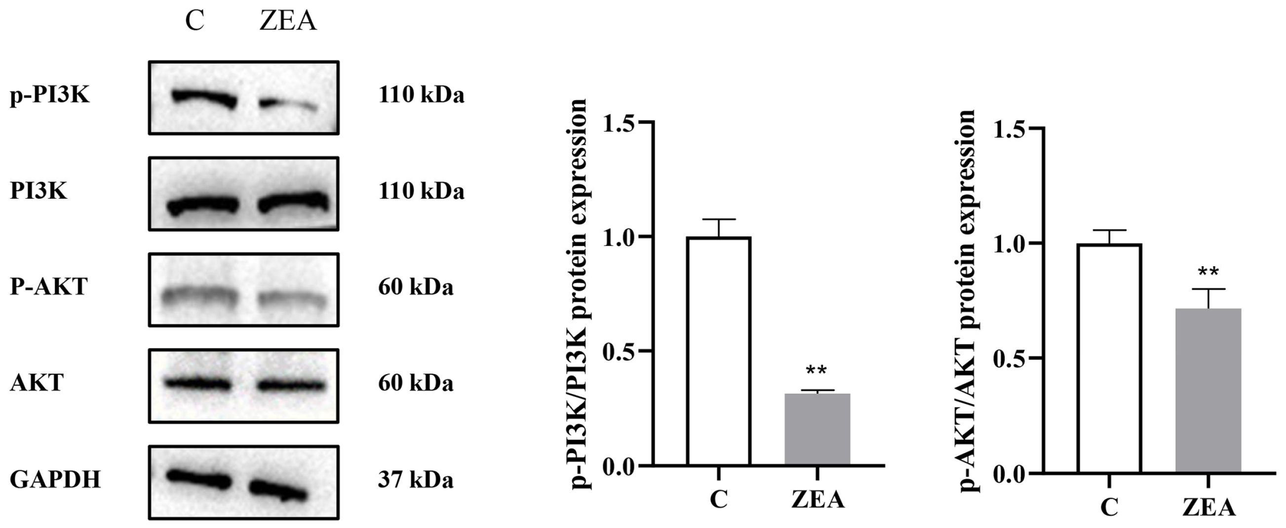 Animals 15 01050 g005