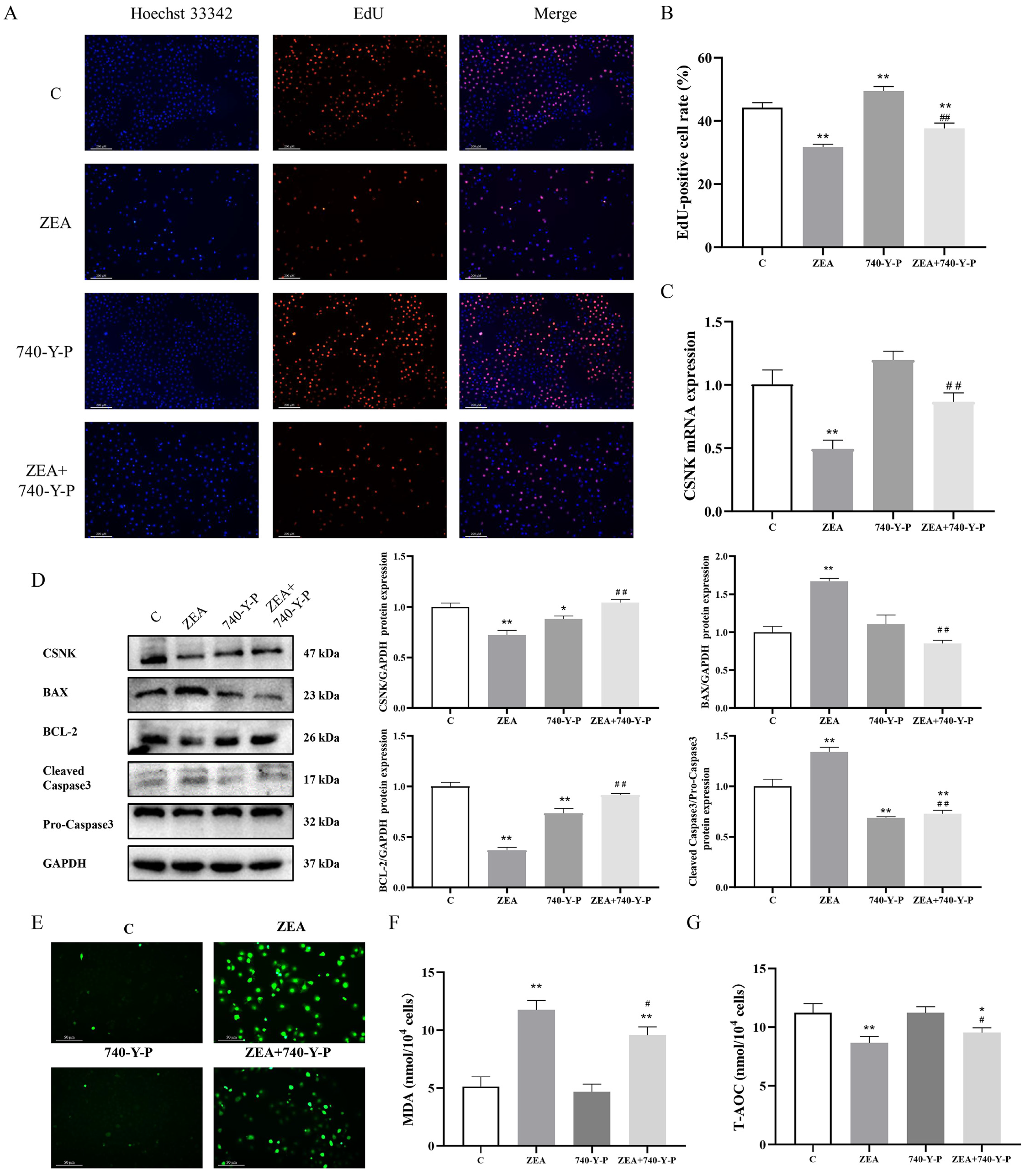 Animals 15 01050 g006