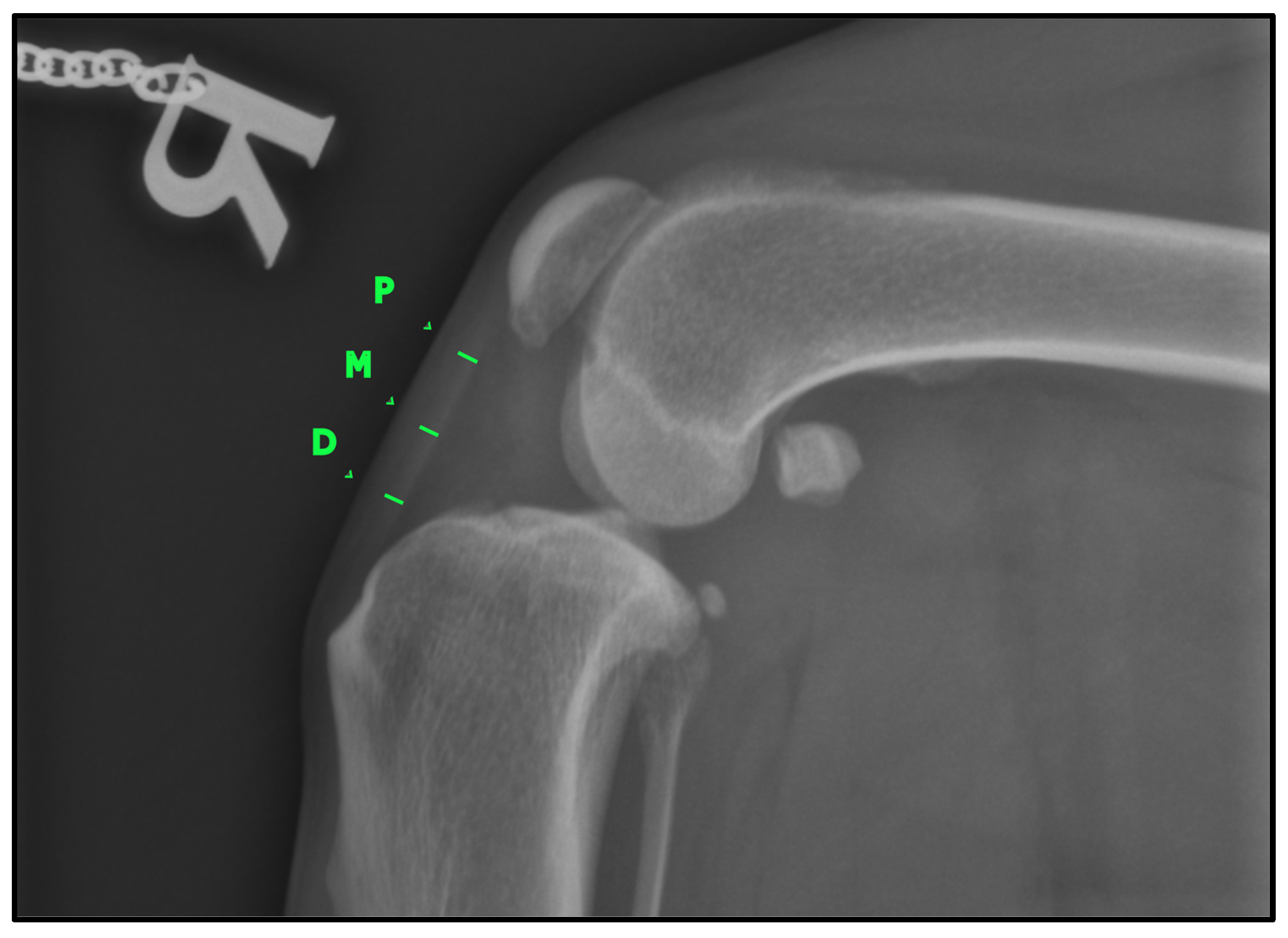 Animals 15 01052 g002