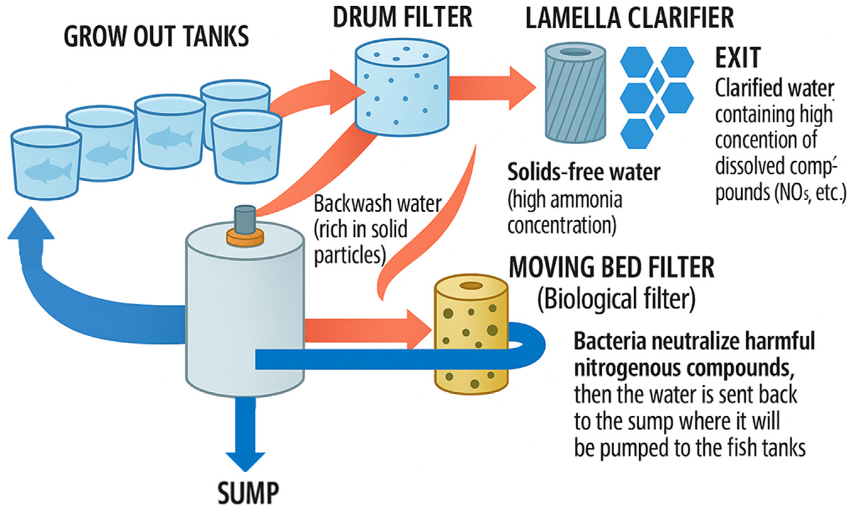 Animals 15 01055 g003