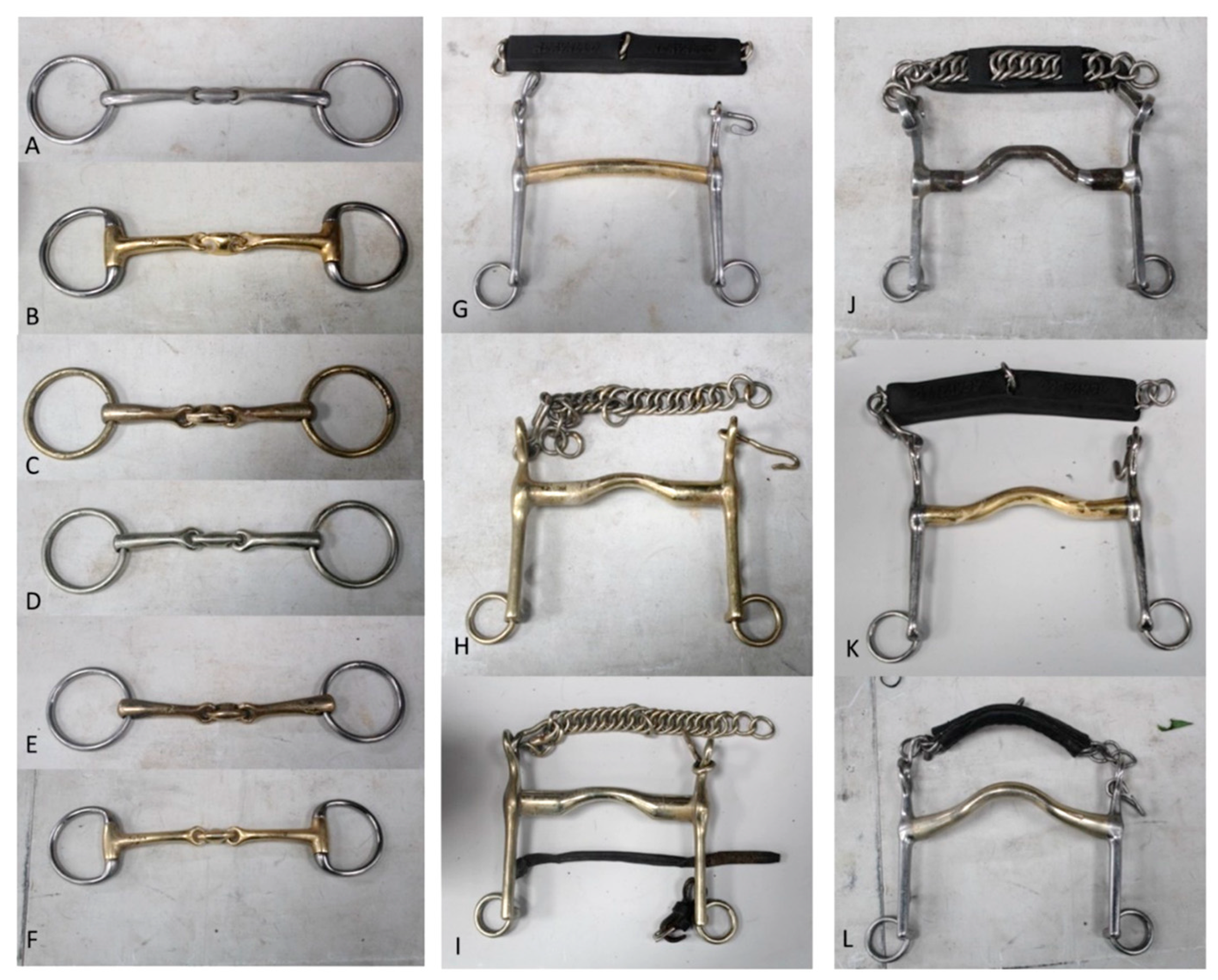 Animals 15 01058 g001