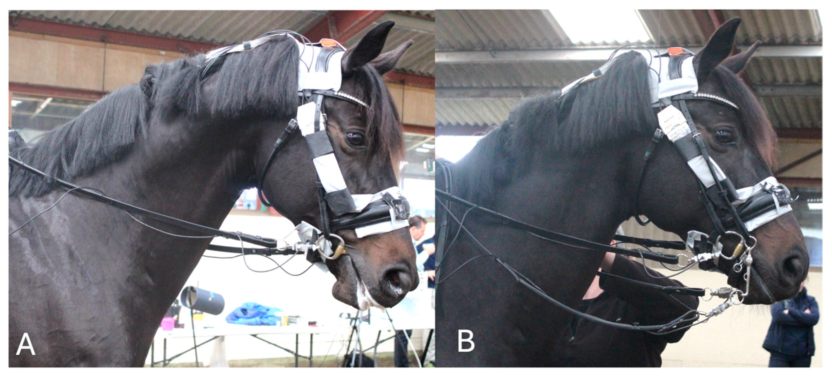 Animals 15 01058 g002