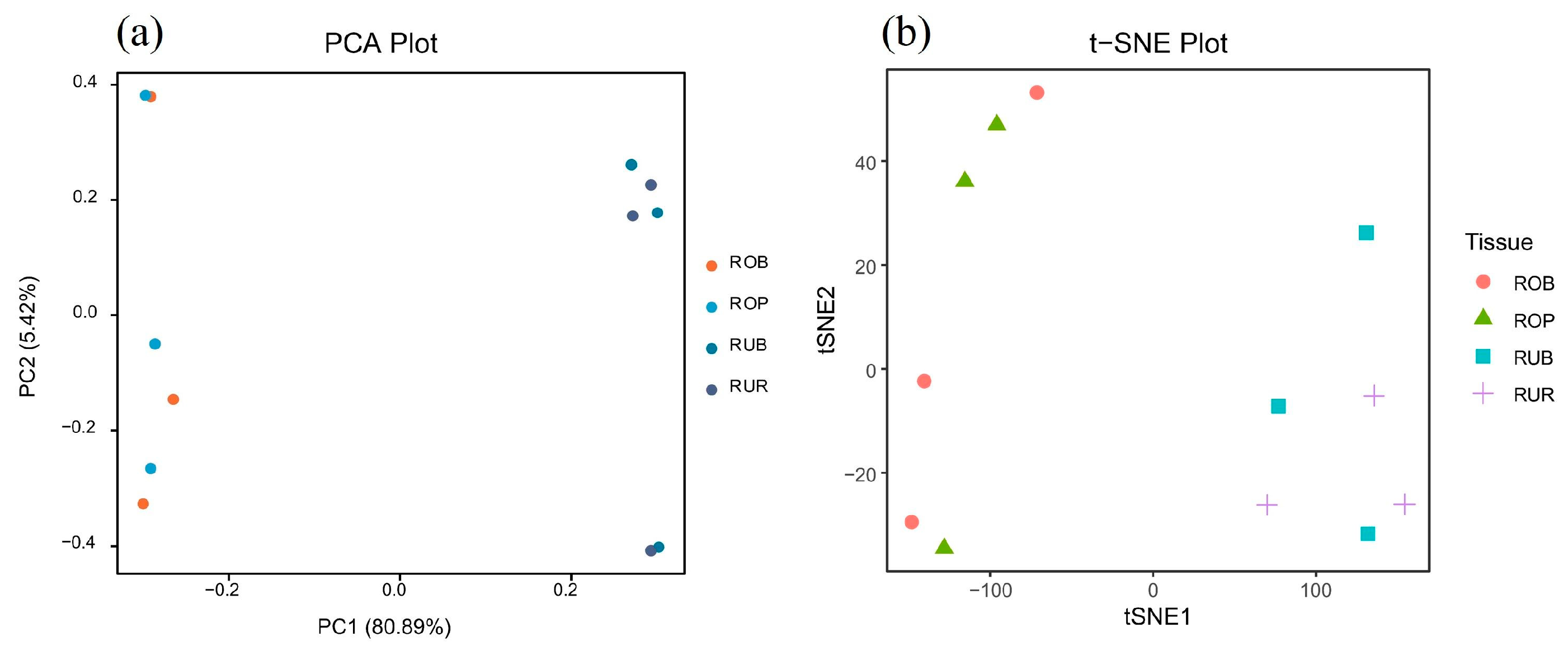 Animals 15 01061 g006