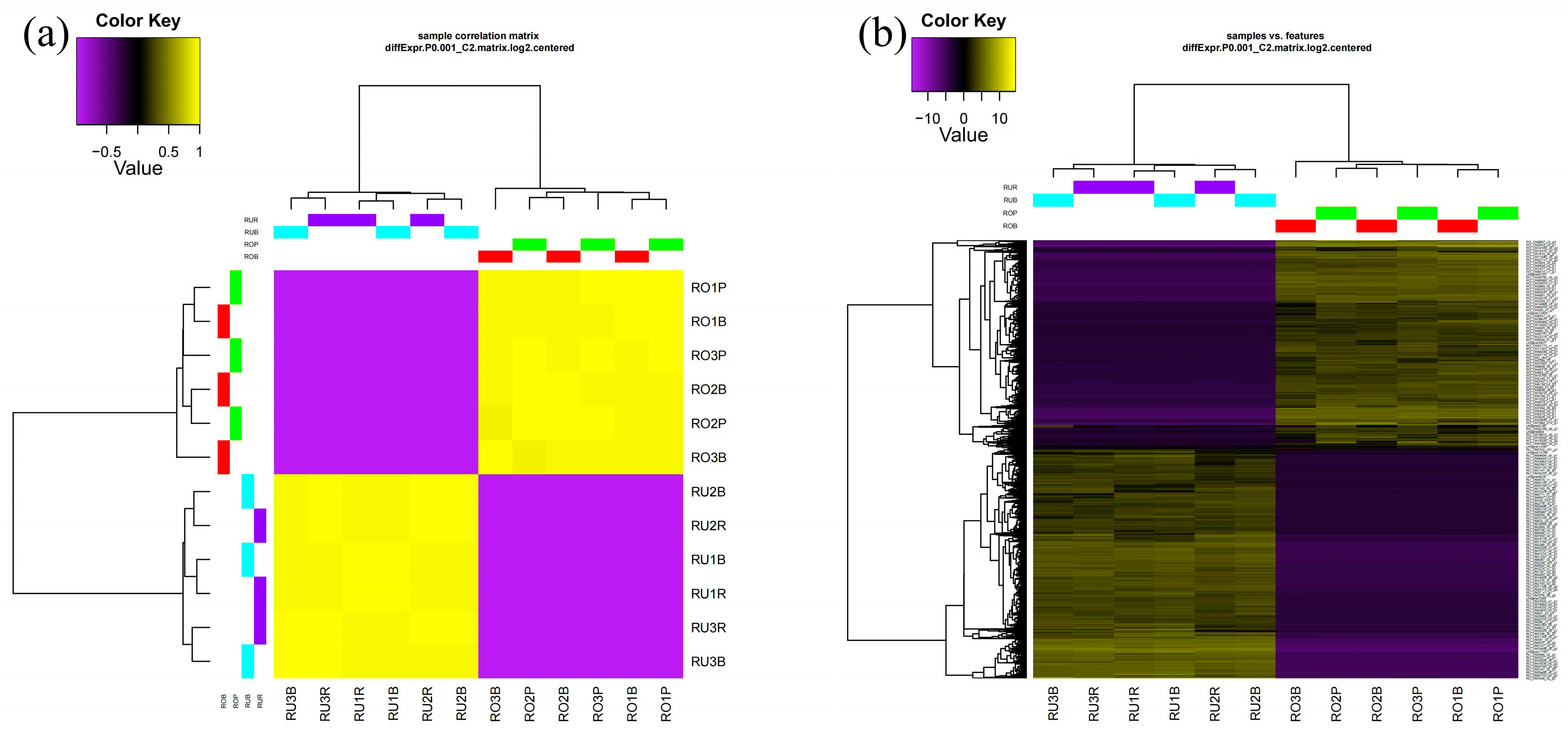 Animals 15 01061 g008