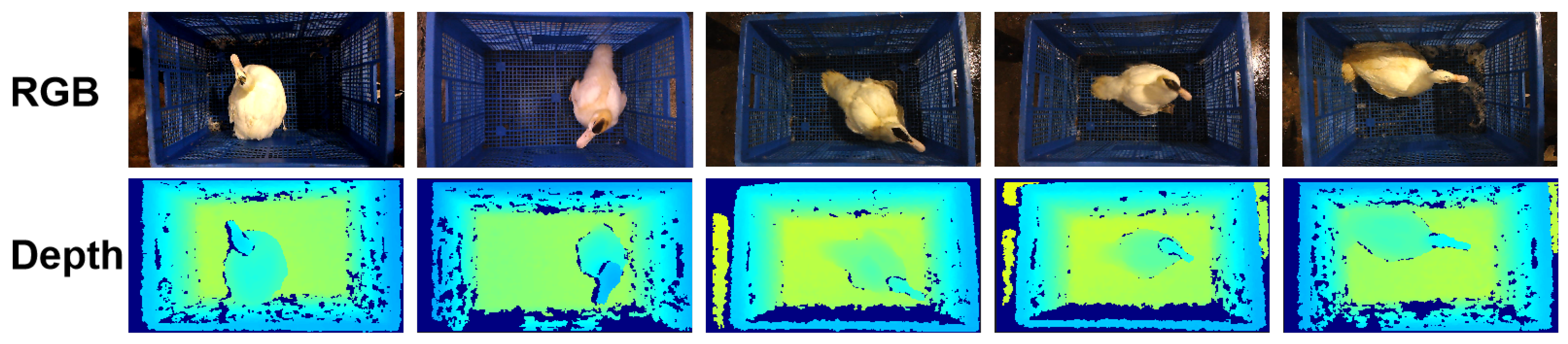 Animals 15 01062 g003