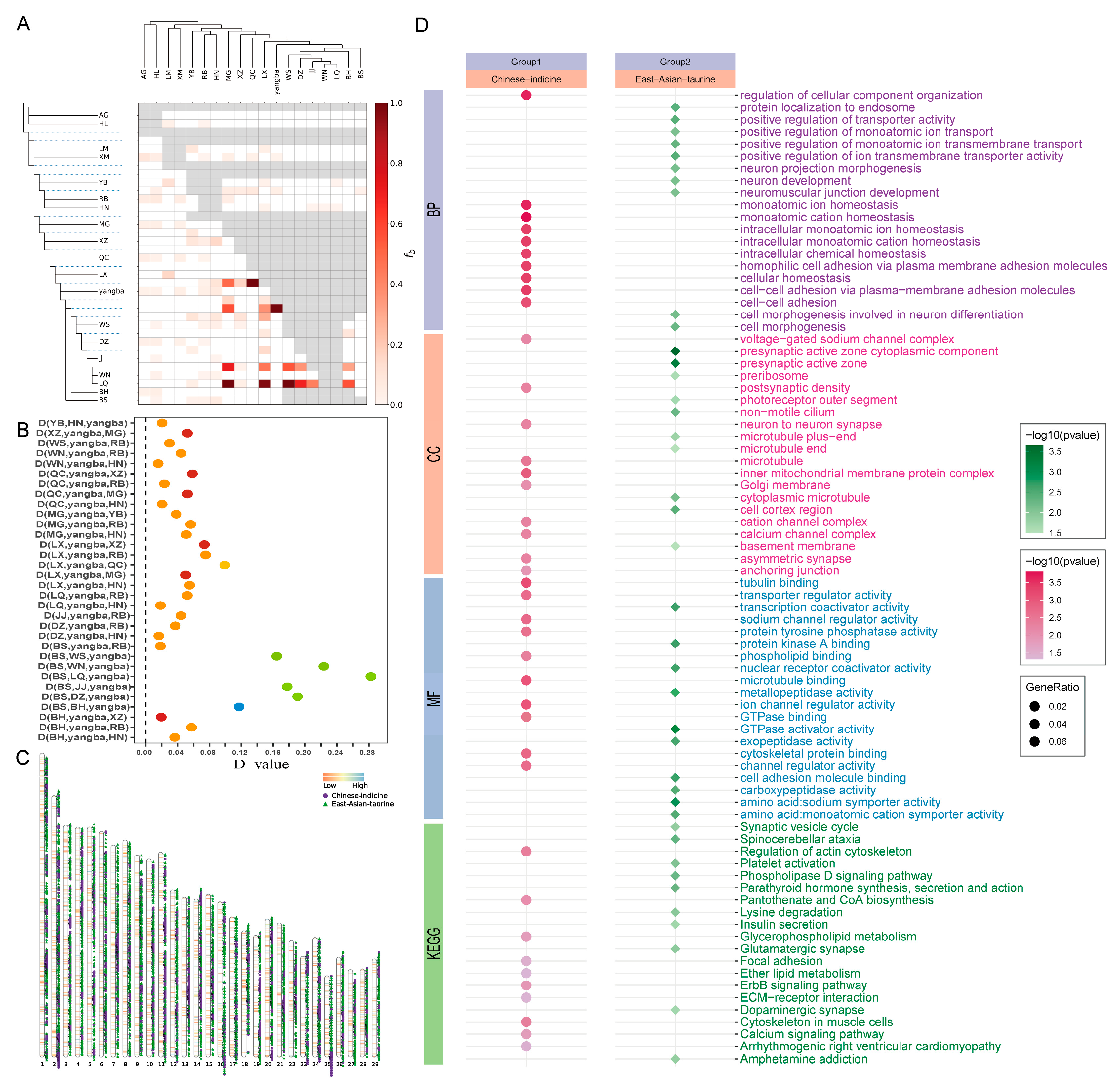 Animals 15 01065 g004 Animals 15 01065 g004