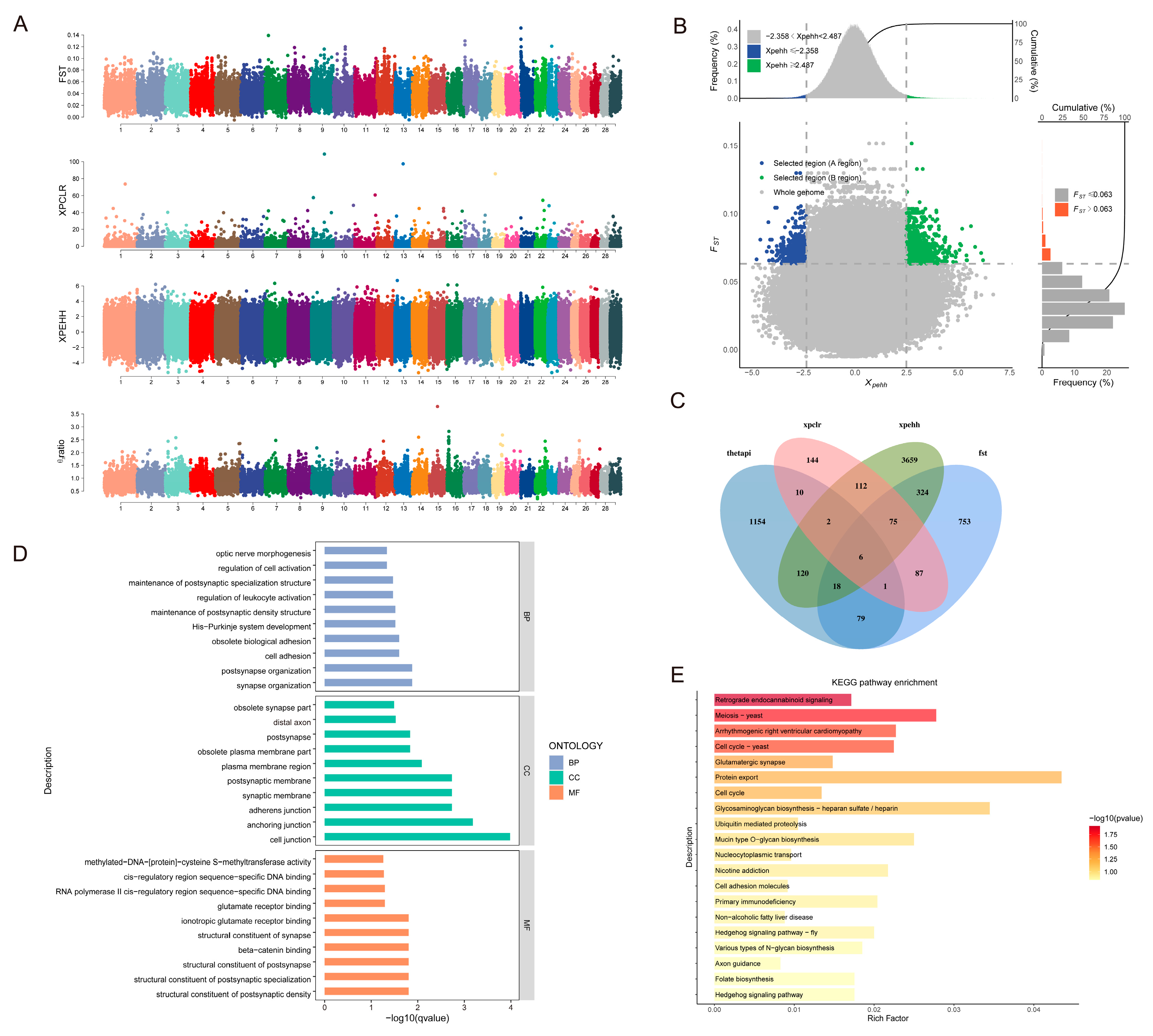 Animals 15 01065 g005 Animals 15 01065 g005