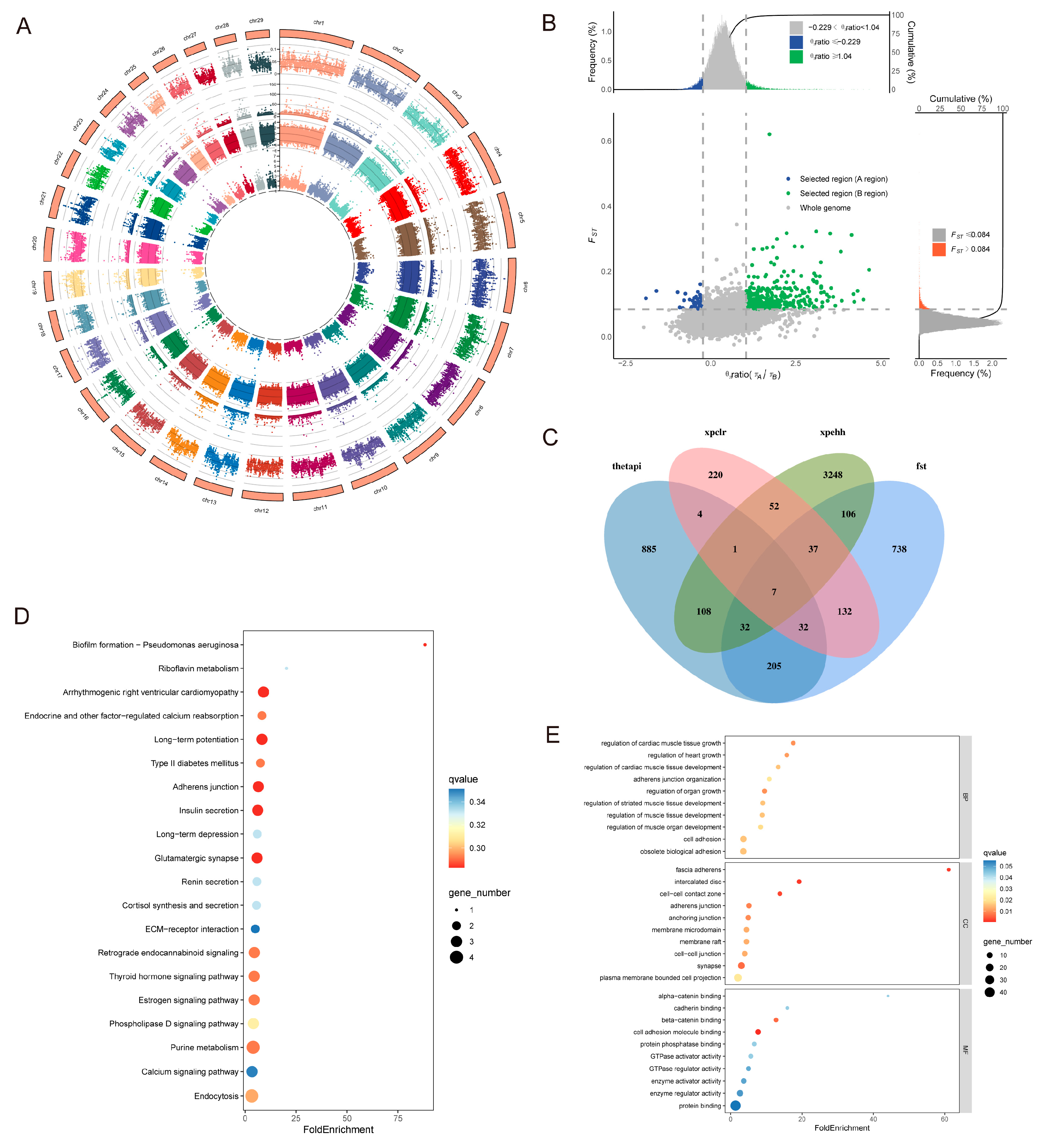 Animals 15 01065 g007 Animals 15 01065 g007