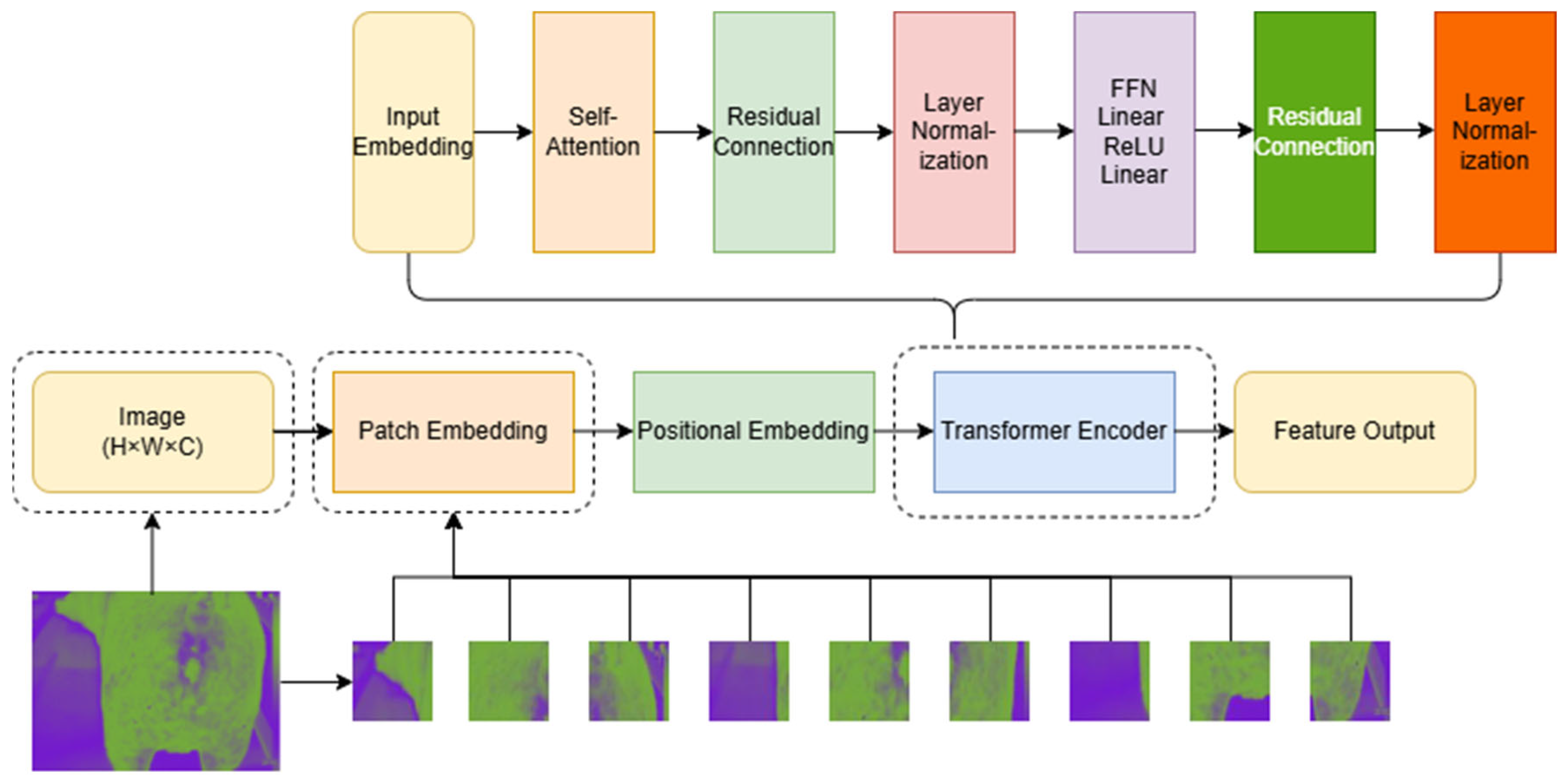 Animals 15 01067 g004