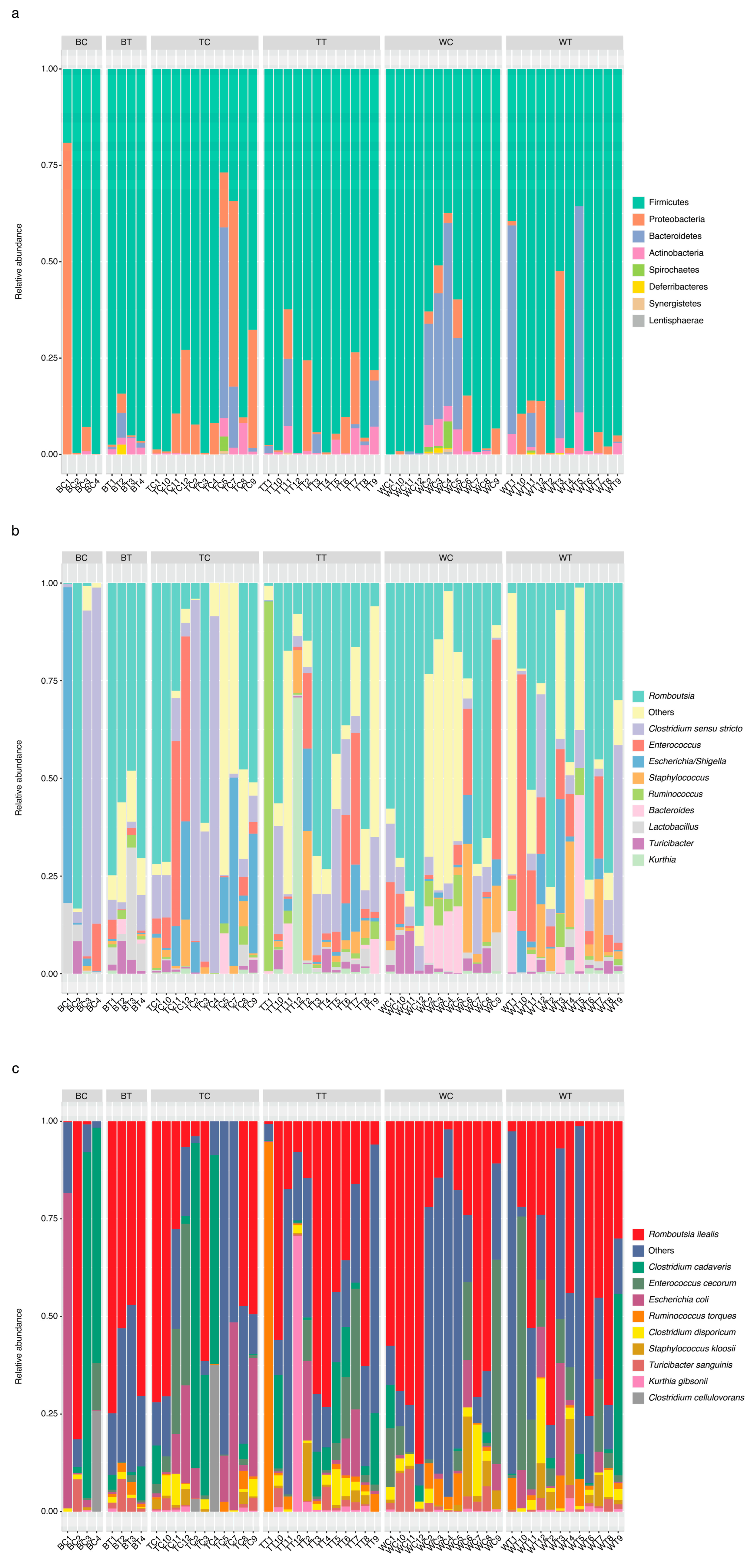 Animals 15 01070 g005