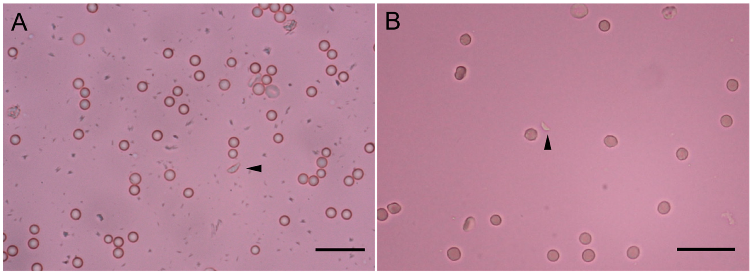 Animals 15 01074 g003