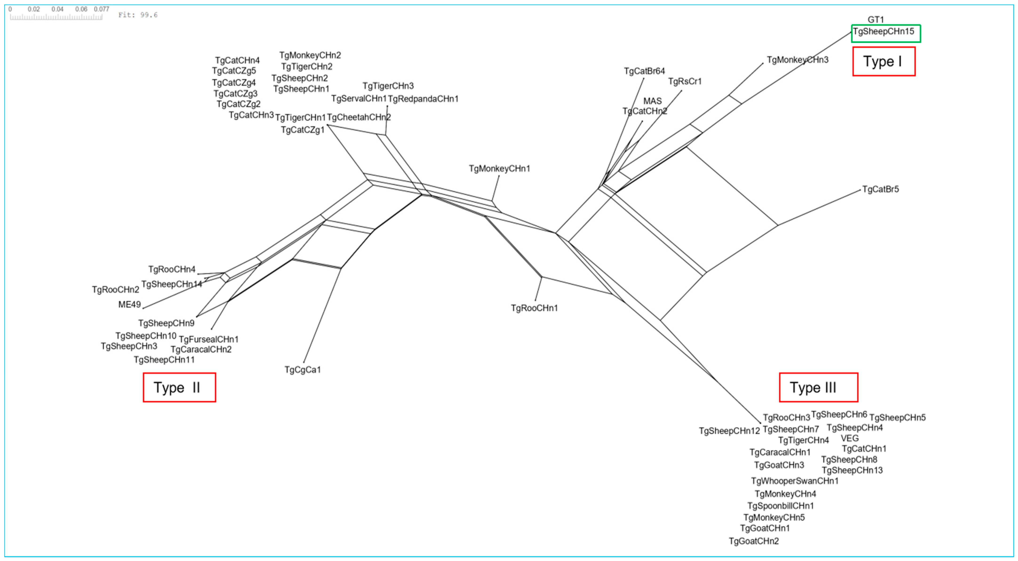 Animals 15 01074 g004