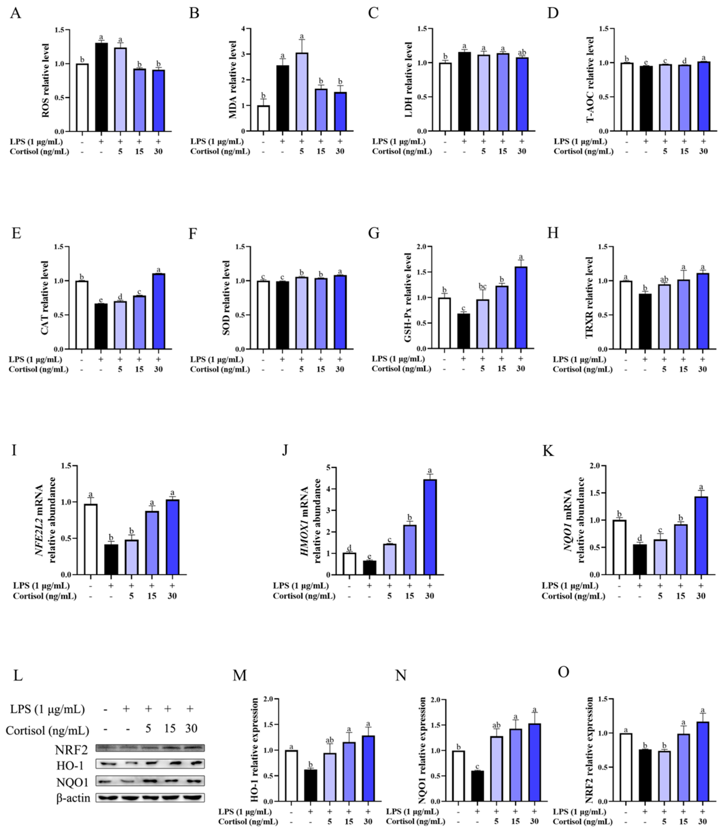 Animals 15 01075 g002