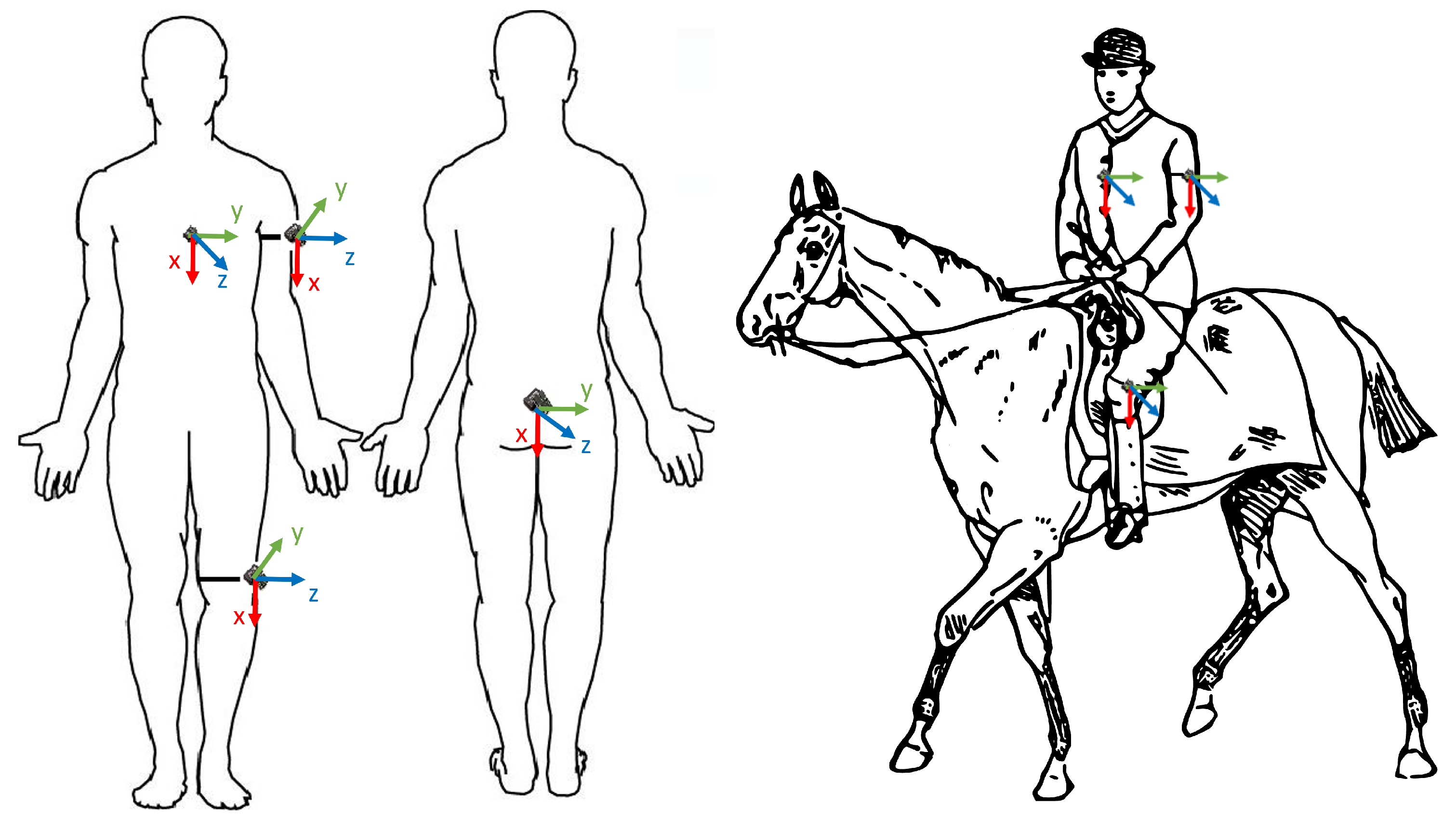 Animals 15 01080 g001