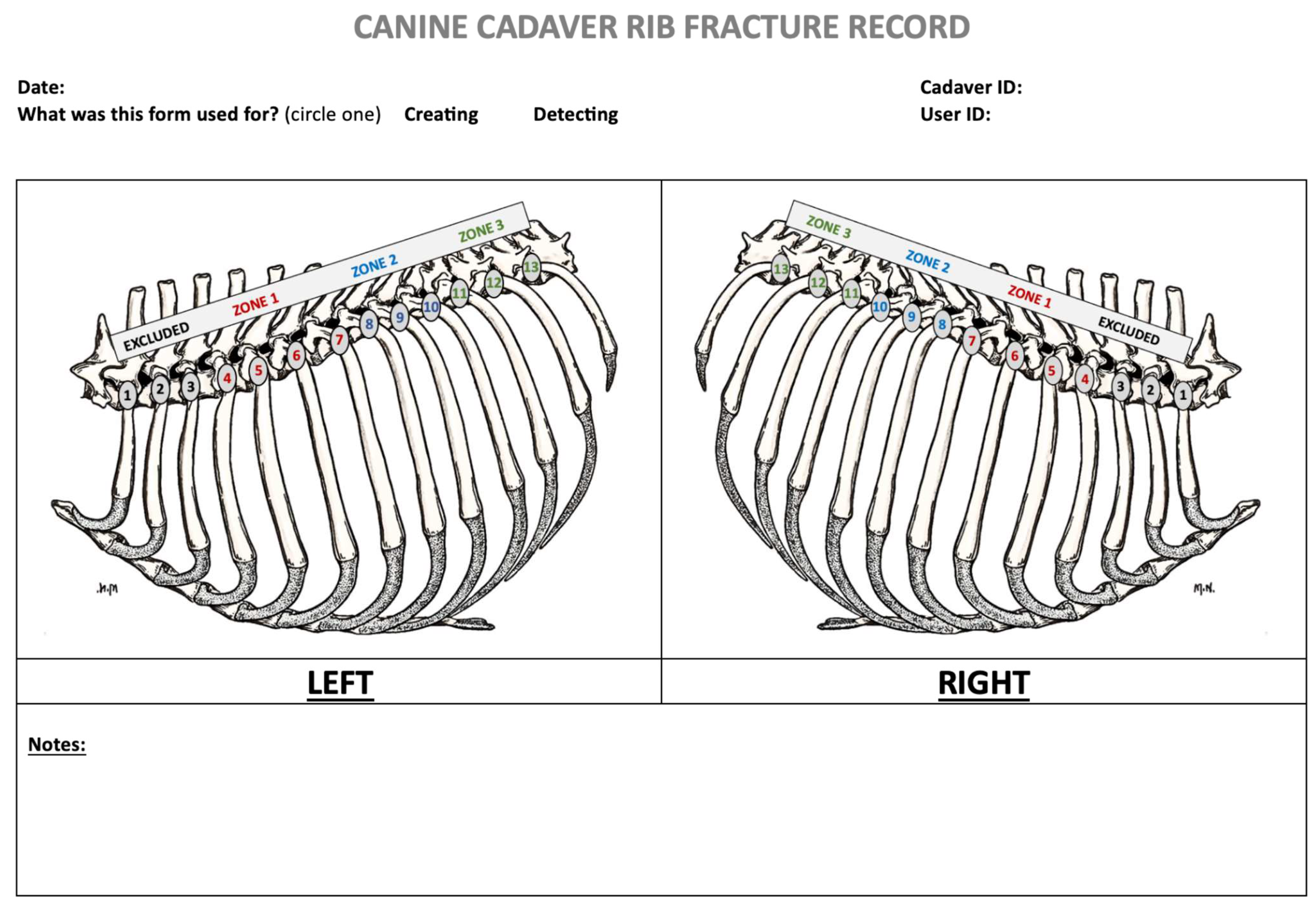 Animals 15 01087 g001