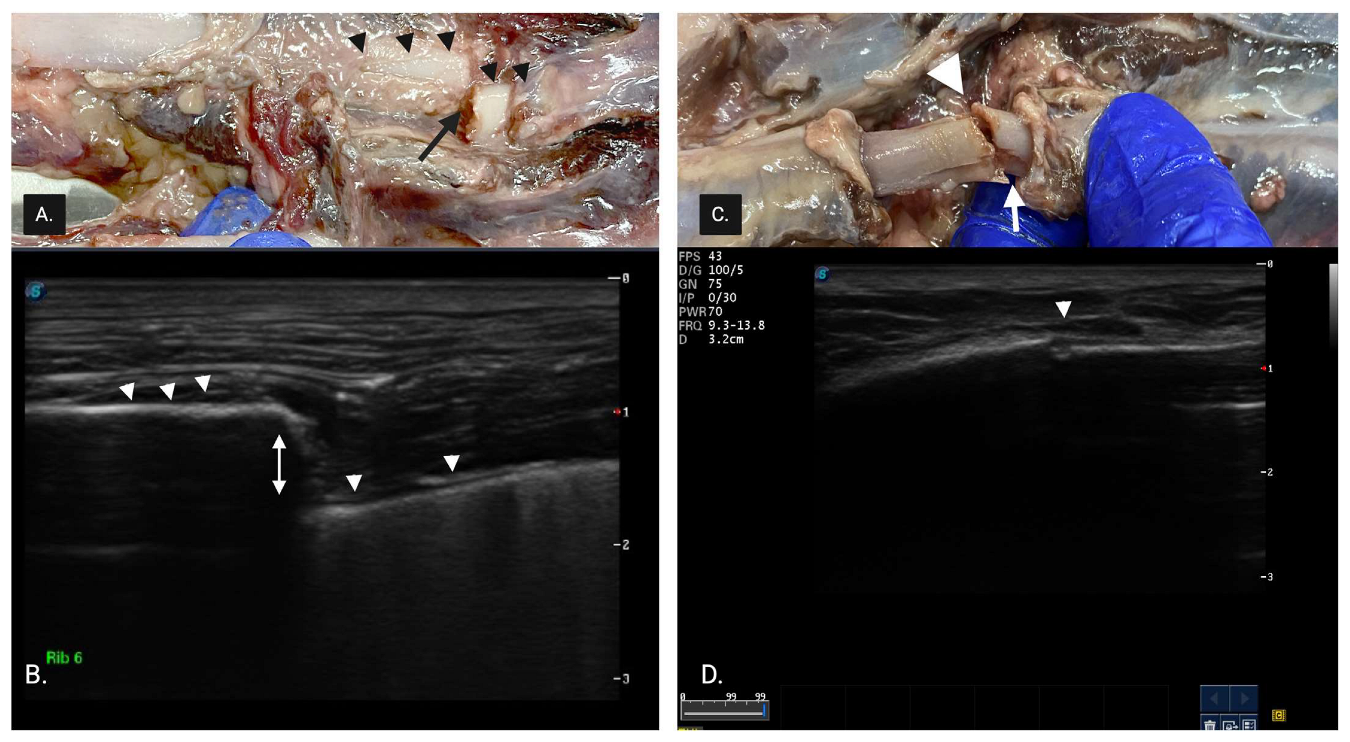 Animals 15 01087 g002