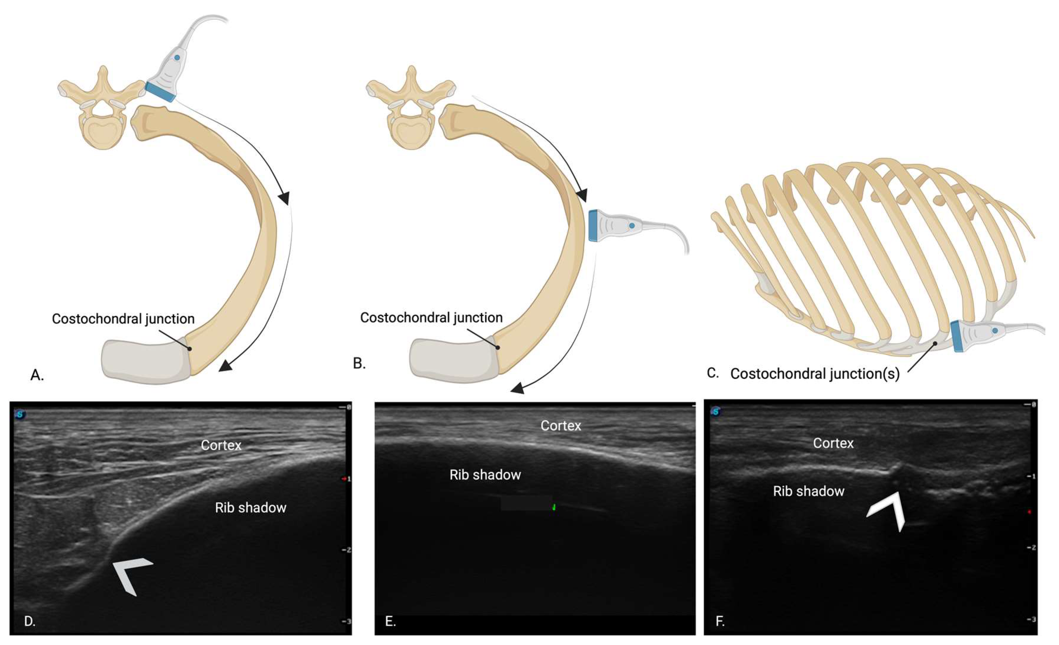 Animals 15 01087 g004
