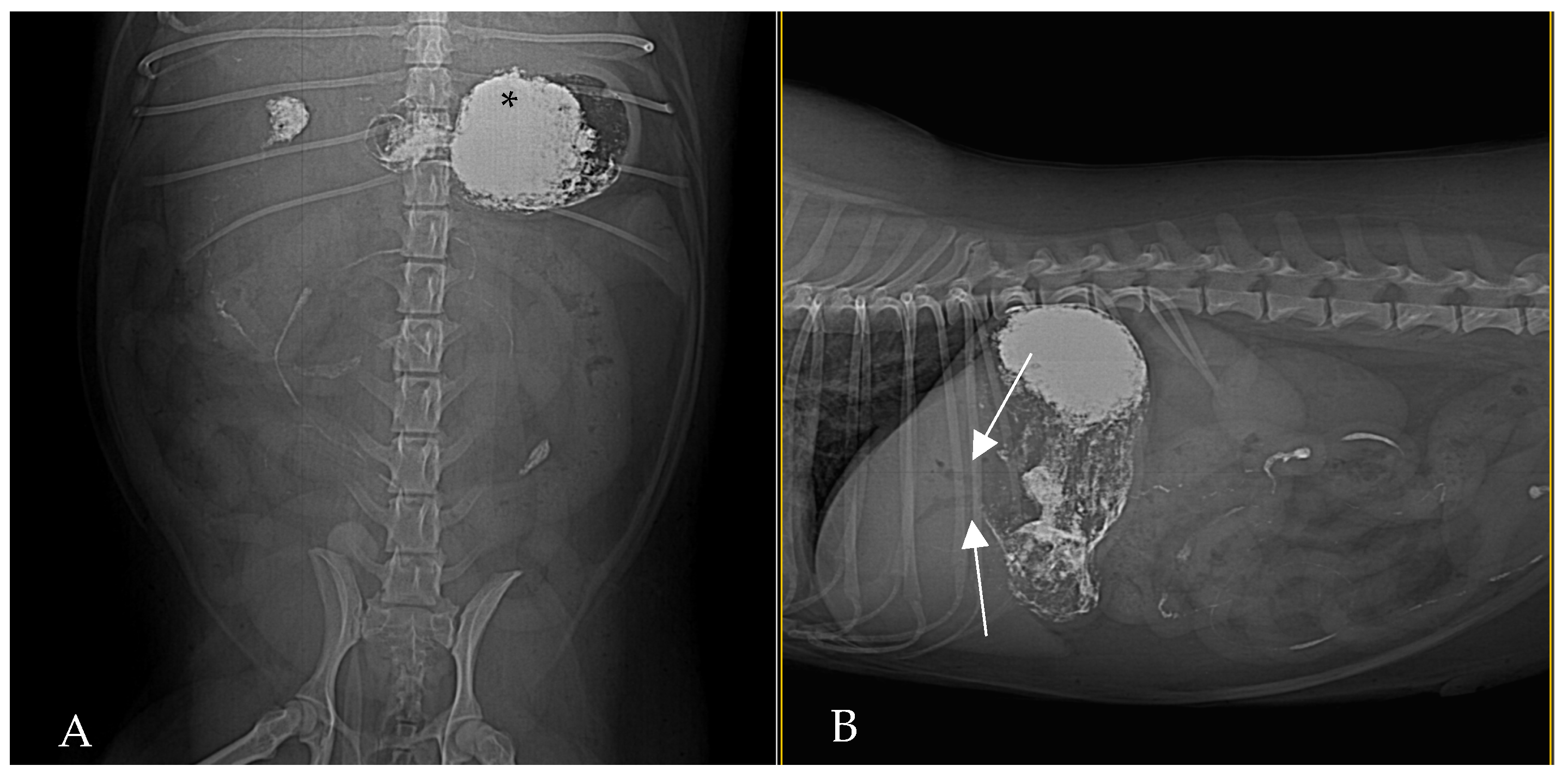 Animals 15 01089 g002