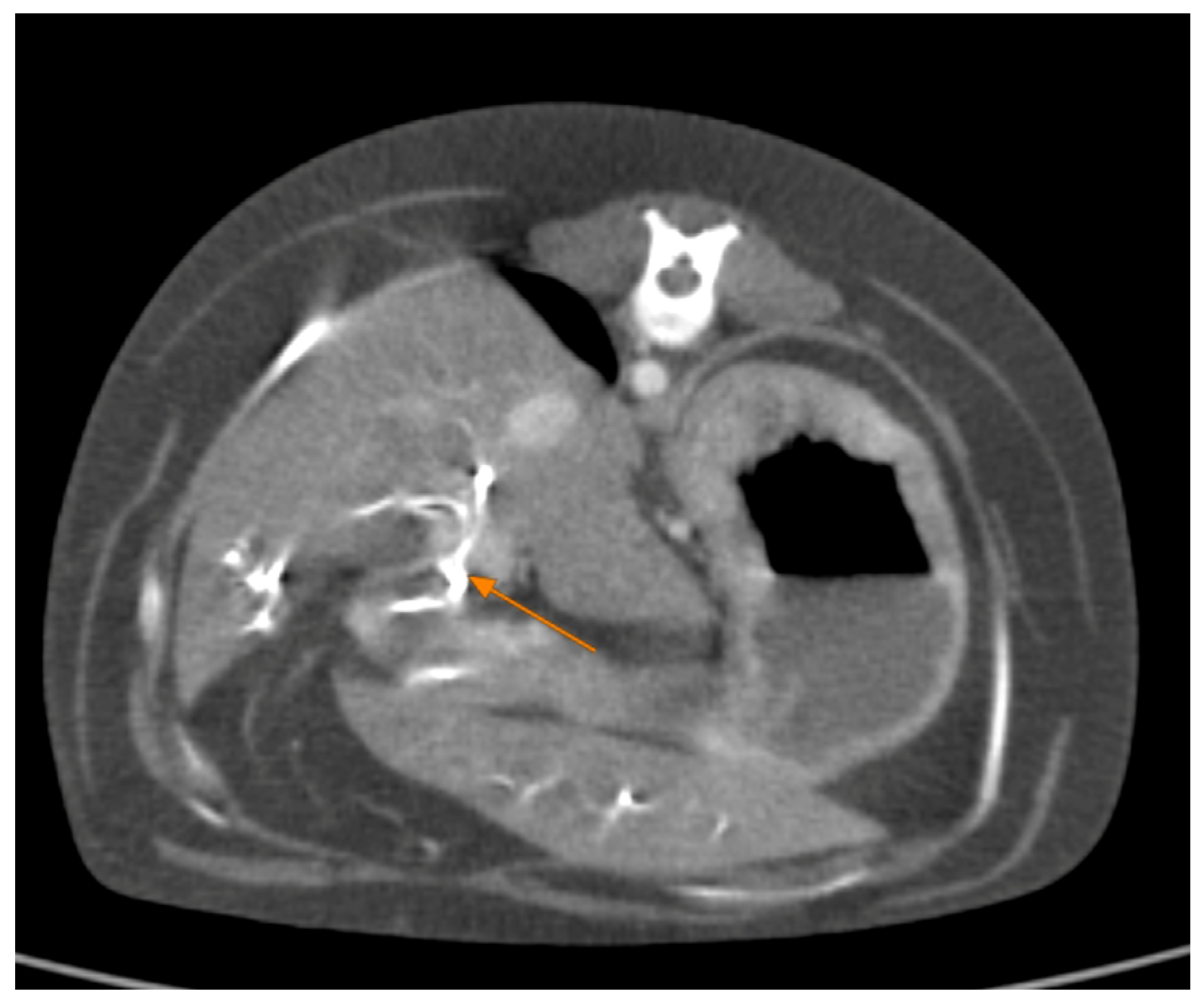 Animals 15 01089 g007