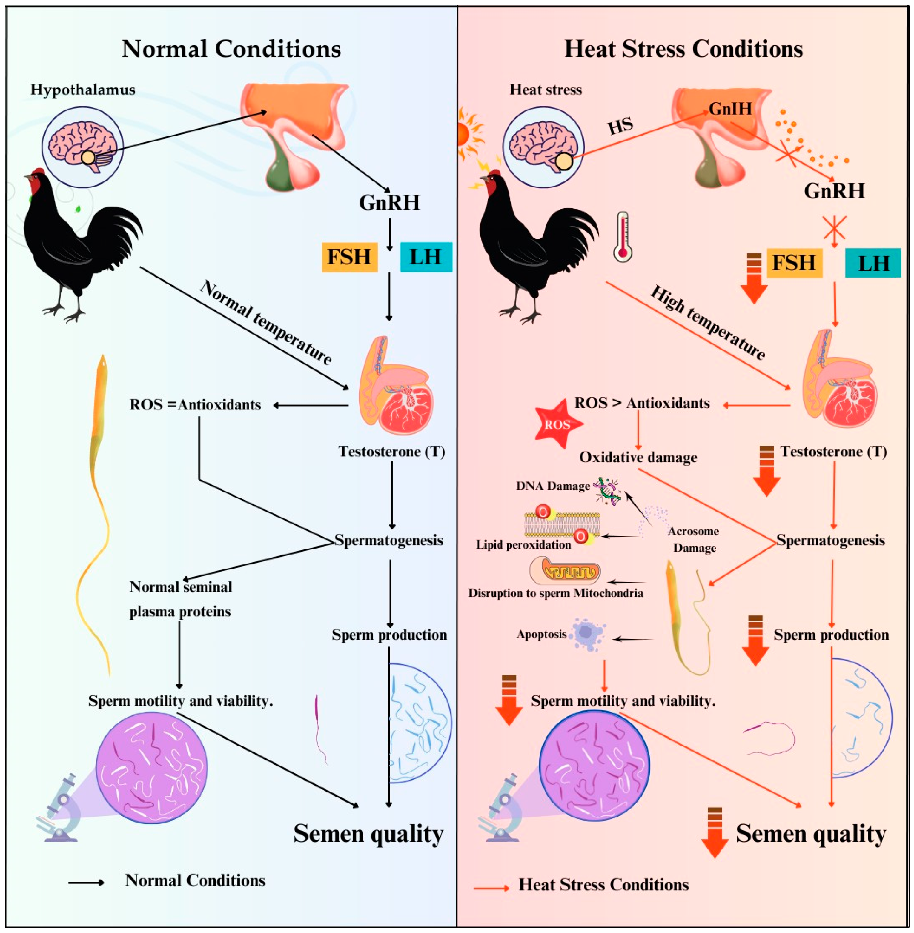 Animals 15 01096 g002 Animals 15 01096 g002