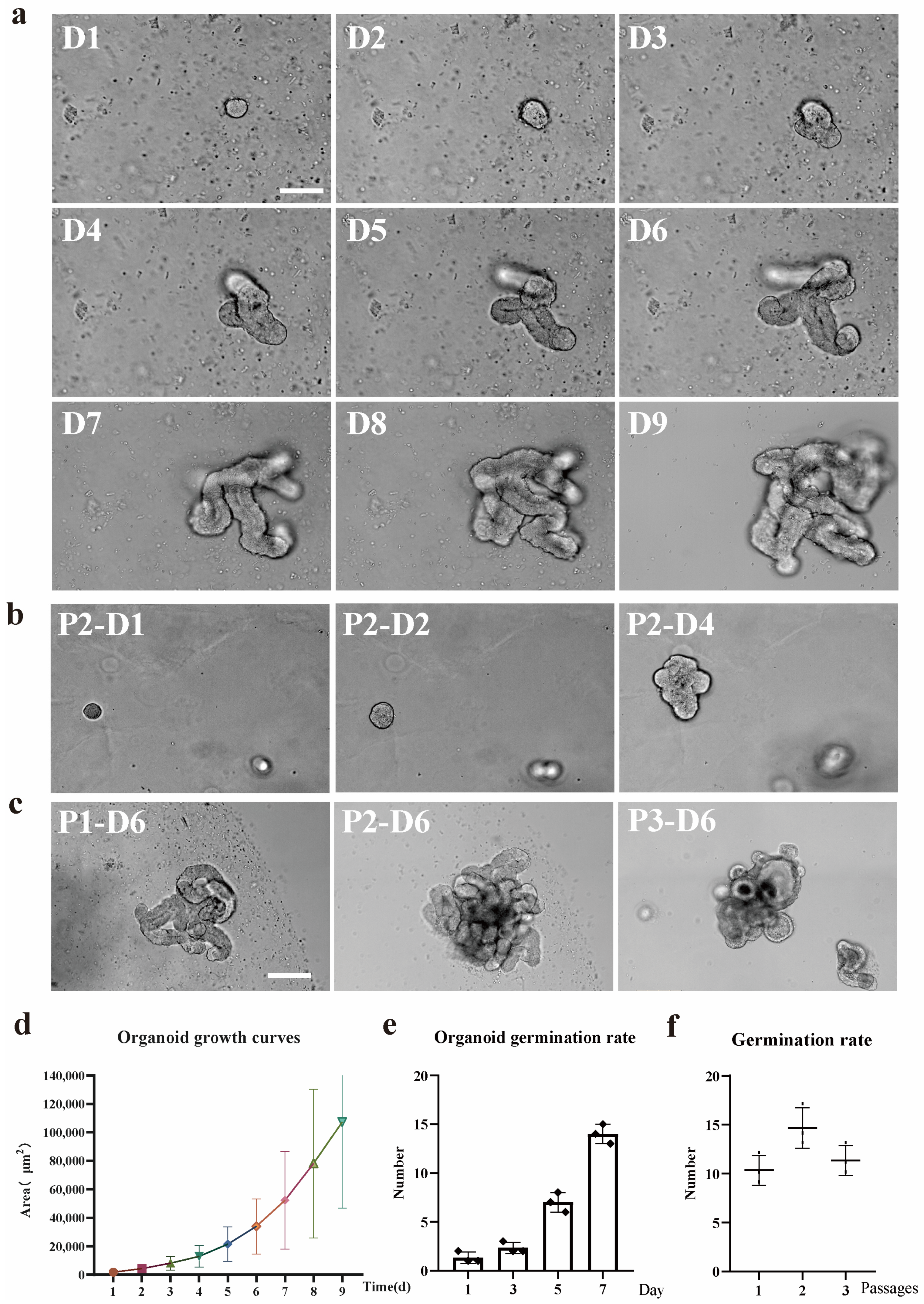 Animals 15 01097 g001