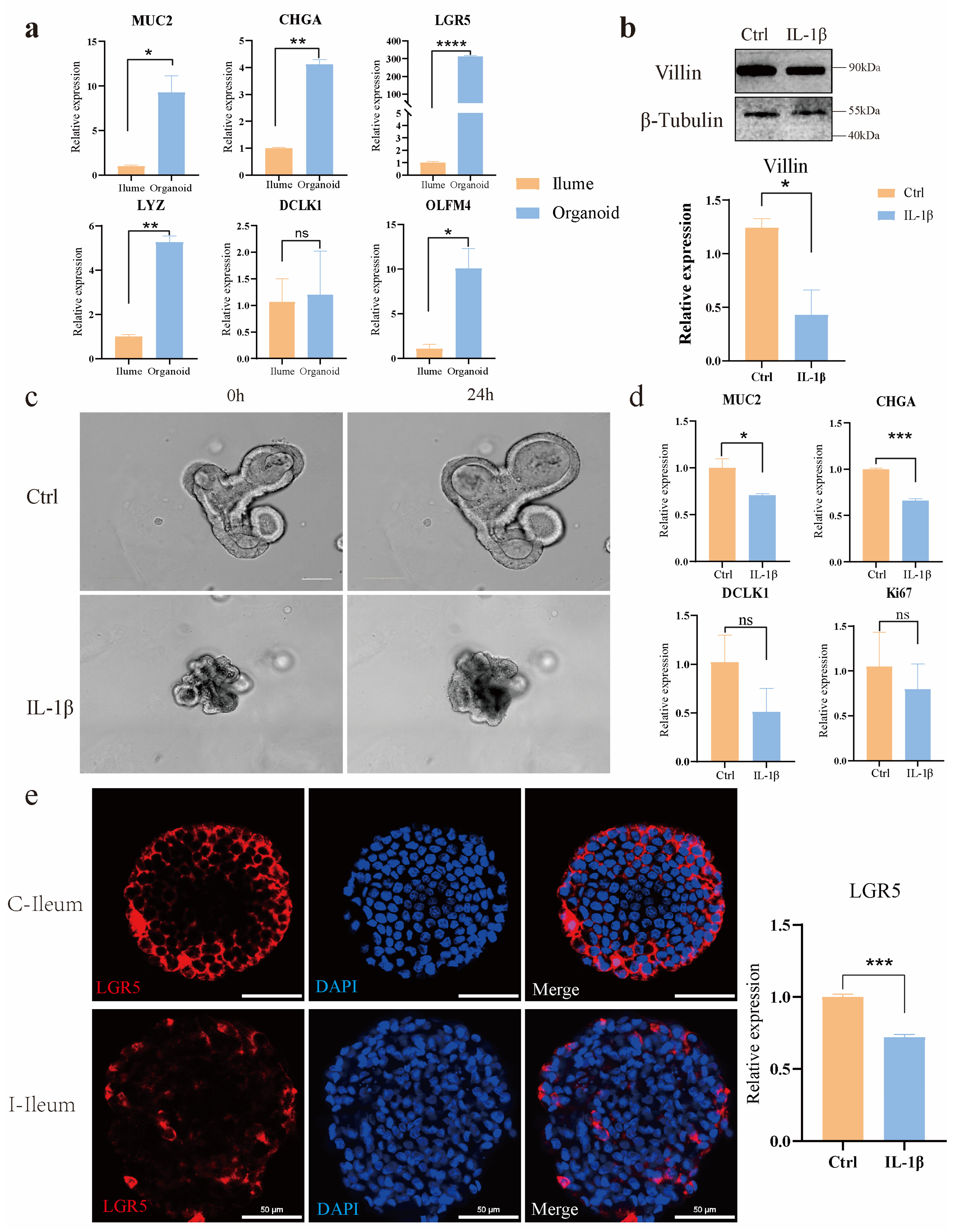Animals 15 01097 g002