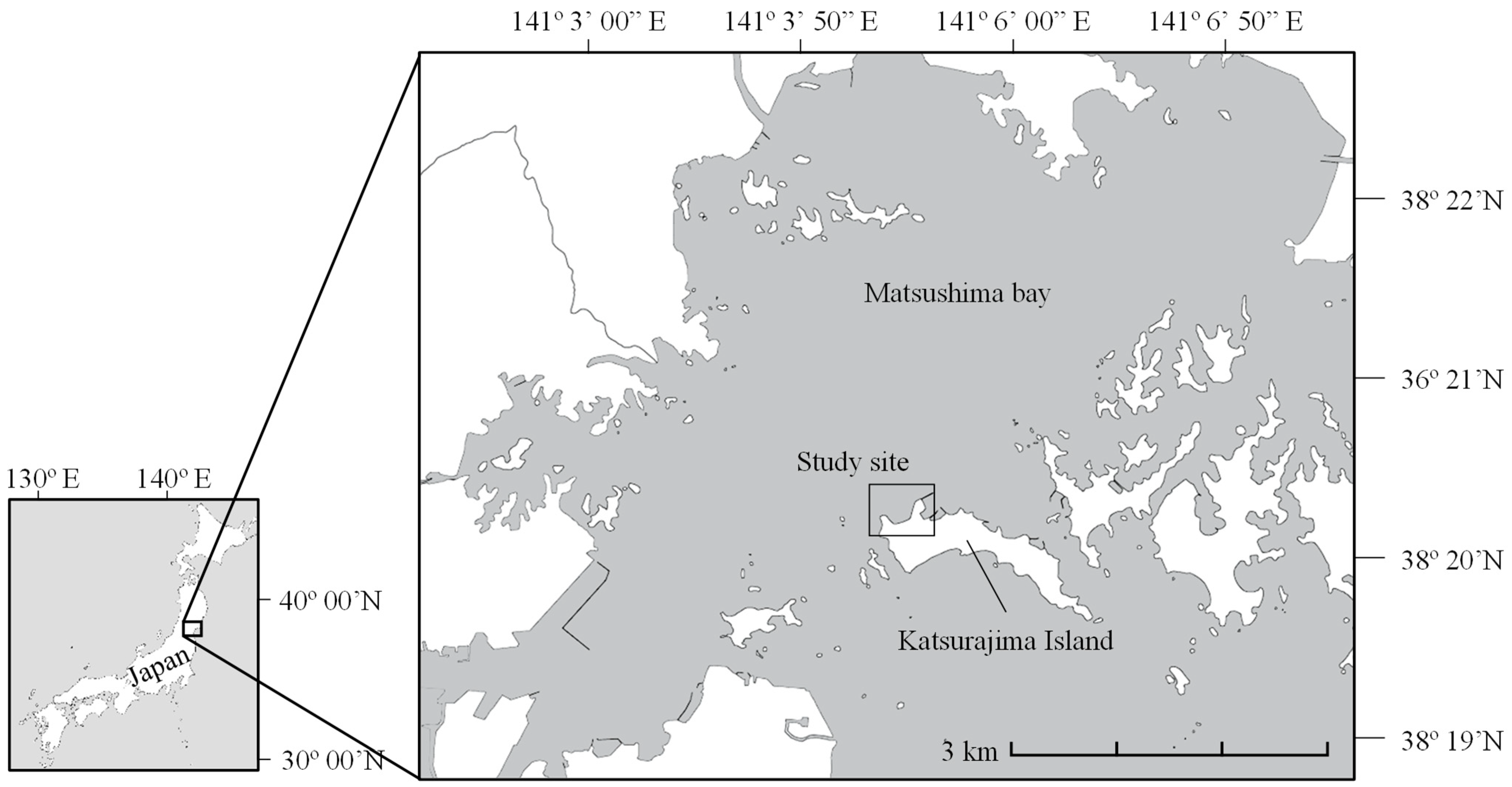 Animals 15 01098 g001