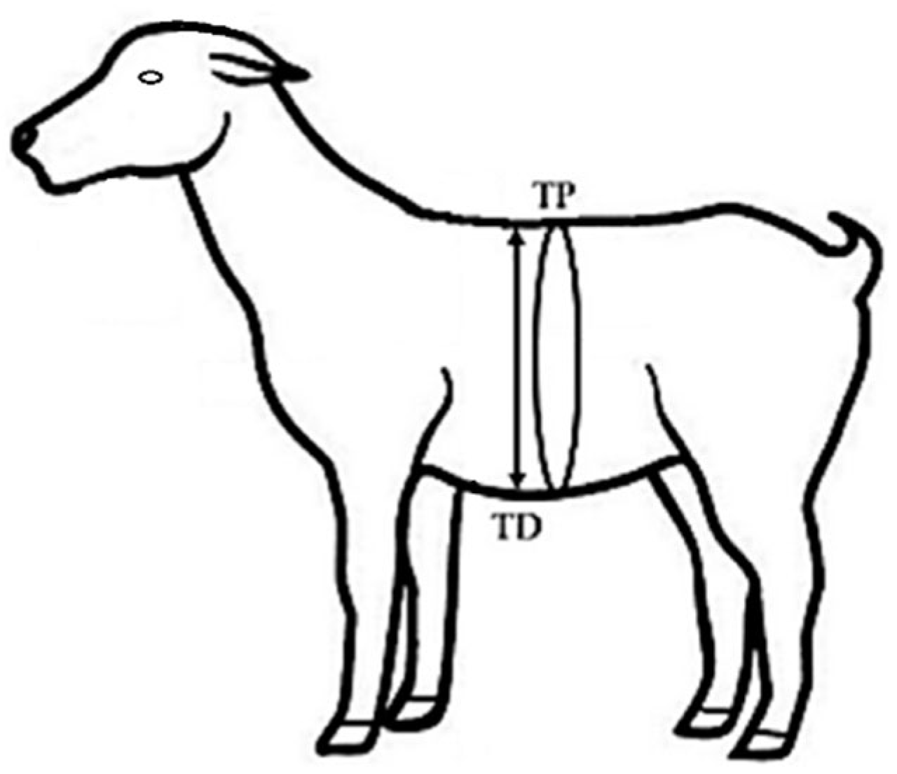 Animals 15 01100 g002 Animals 15 01100 g002