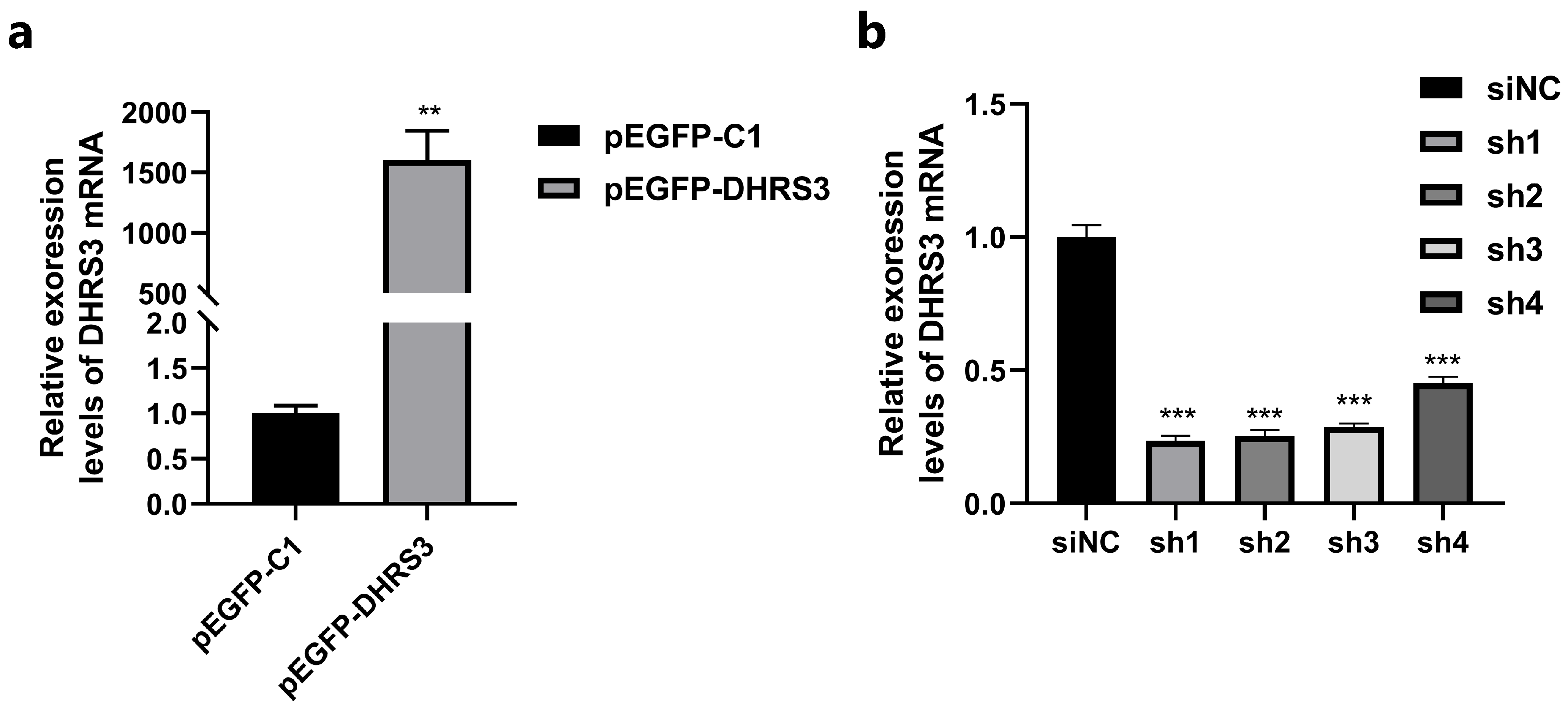 Animals 15 01101 g002