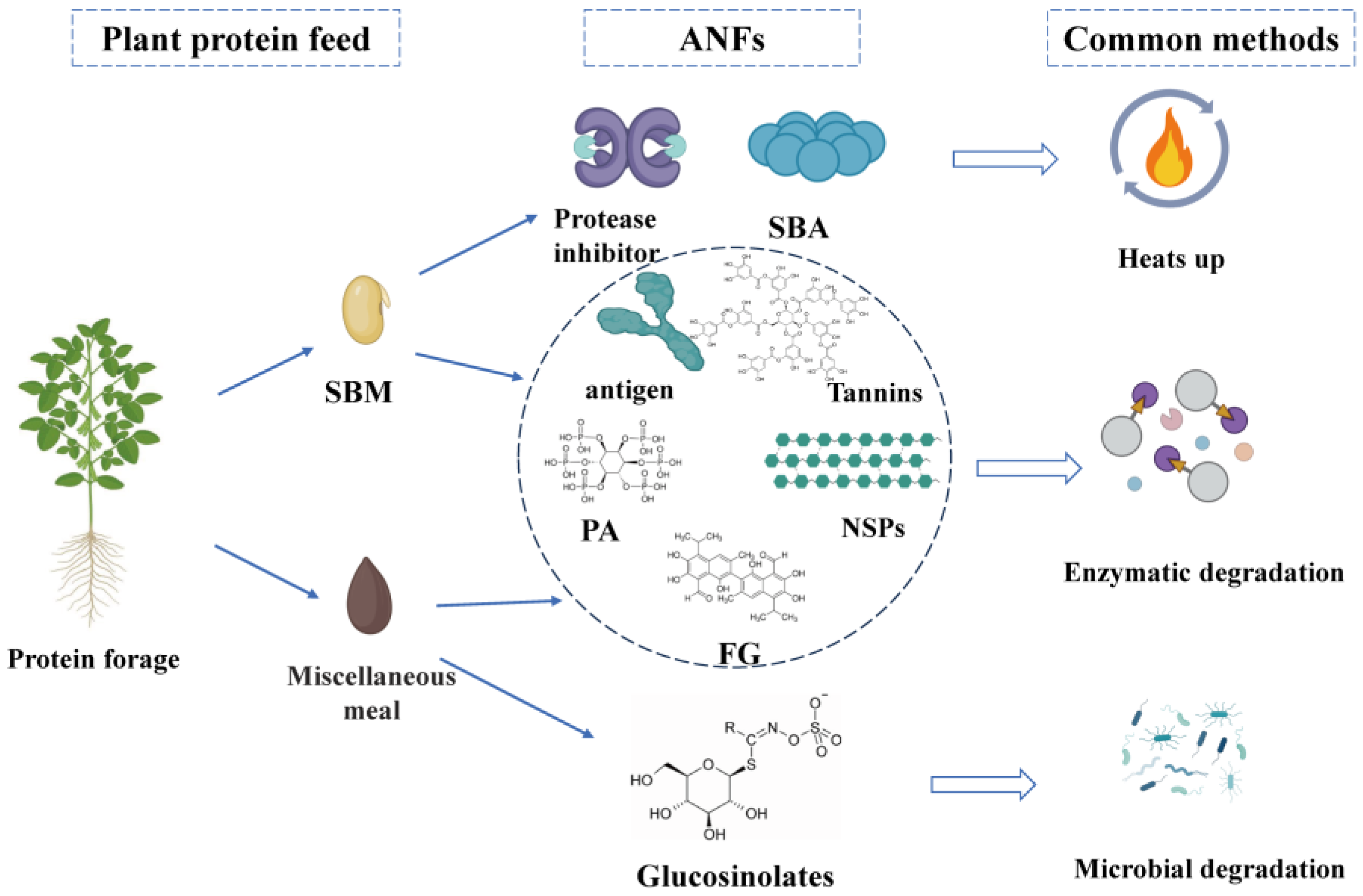 Animals 15 01107 g001 Animals 15 01107 g001