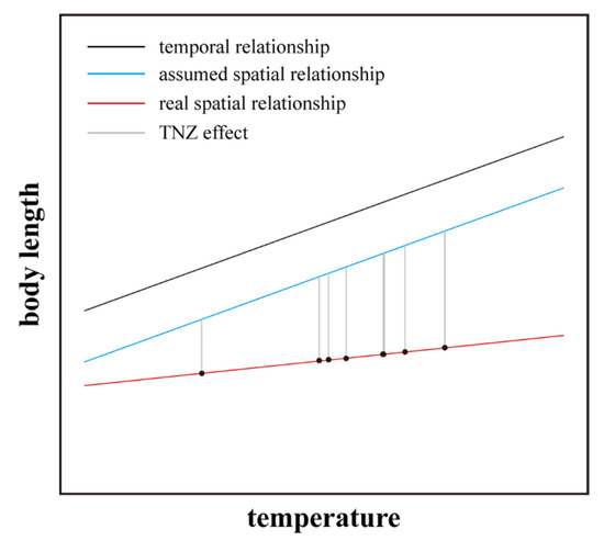shou Body-Size Change in a Rodent Is Affected by Environmental