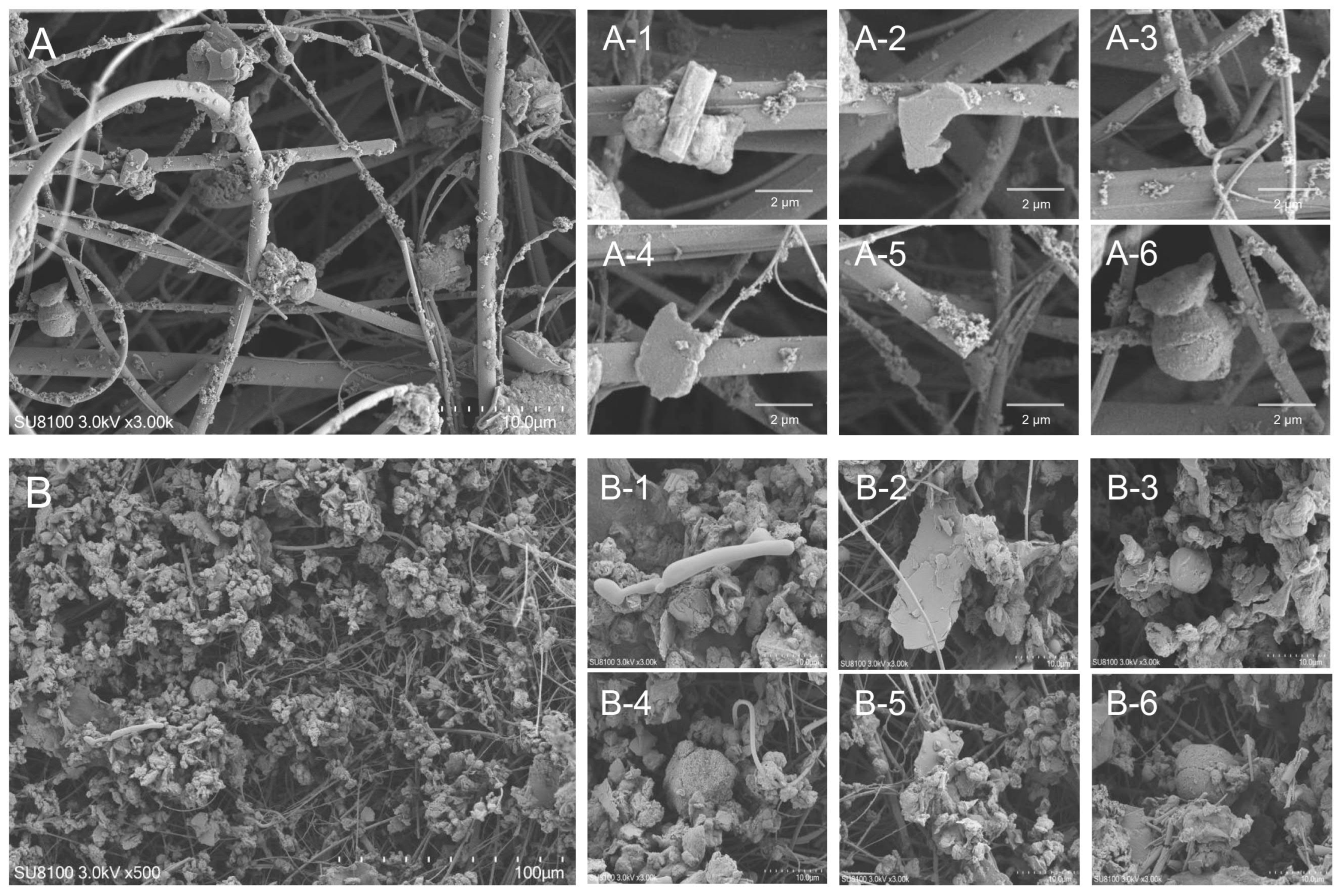 Animals 15 01116 g001