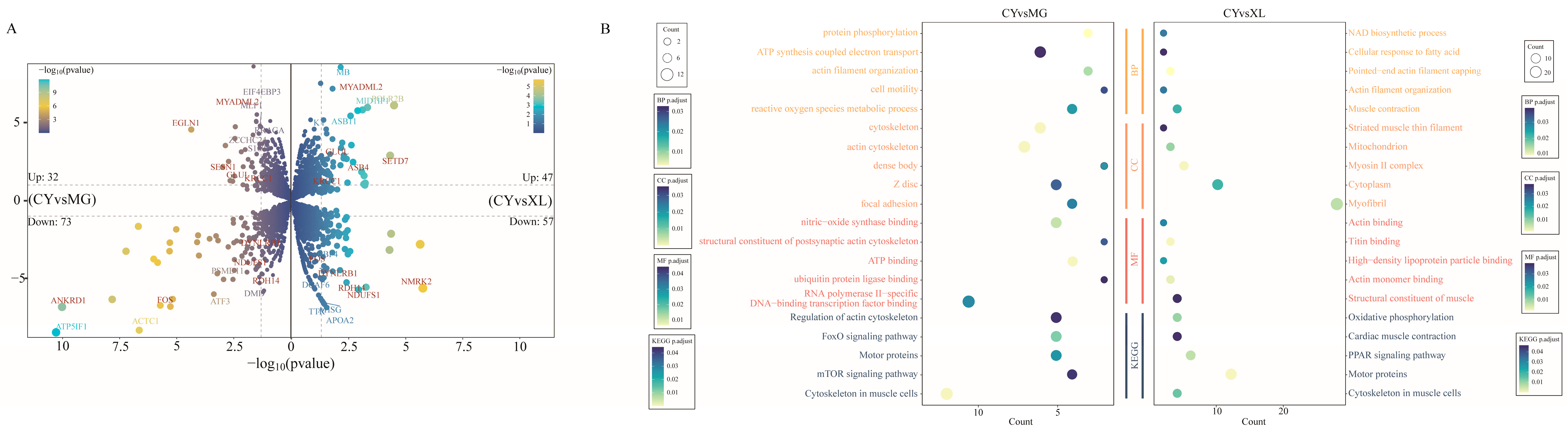 Animals 15 01123 g002 Animals 15 01123 g002