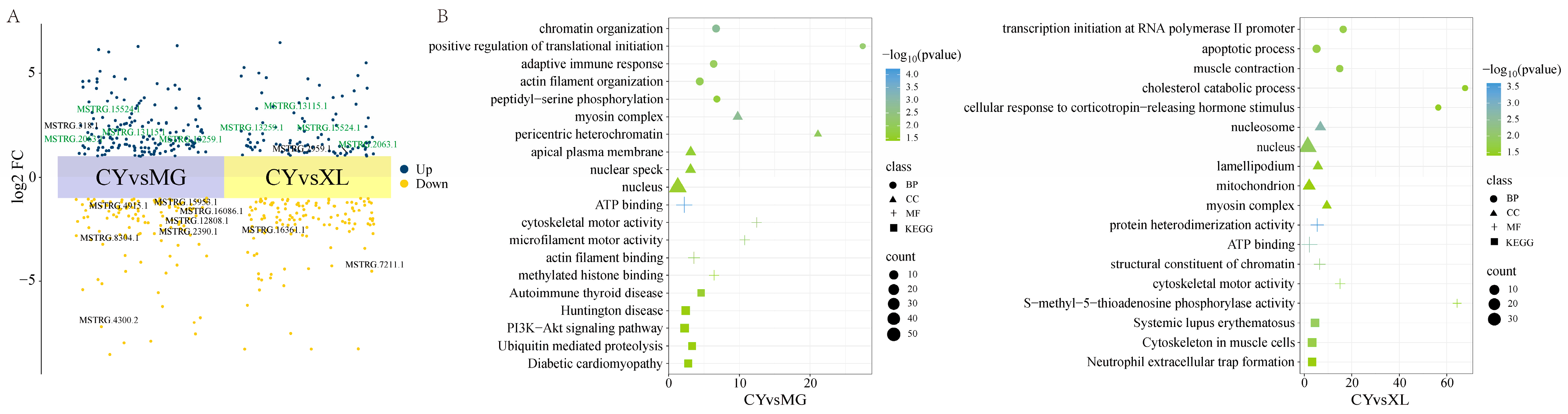 Animals 15 01123 g003 Animals 15 01123 g003