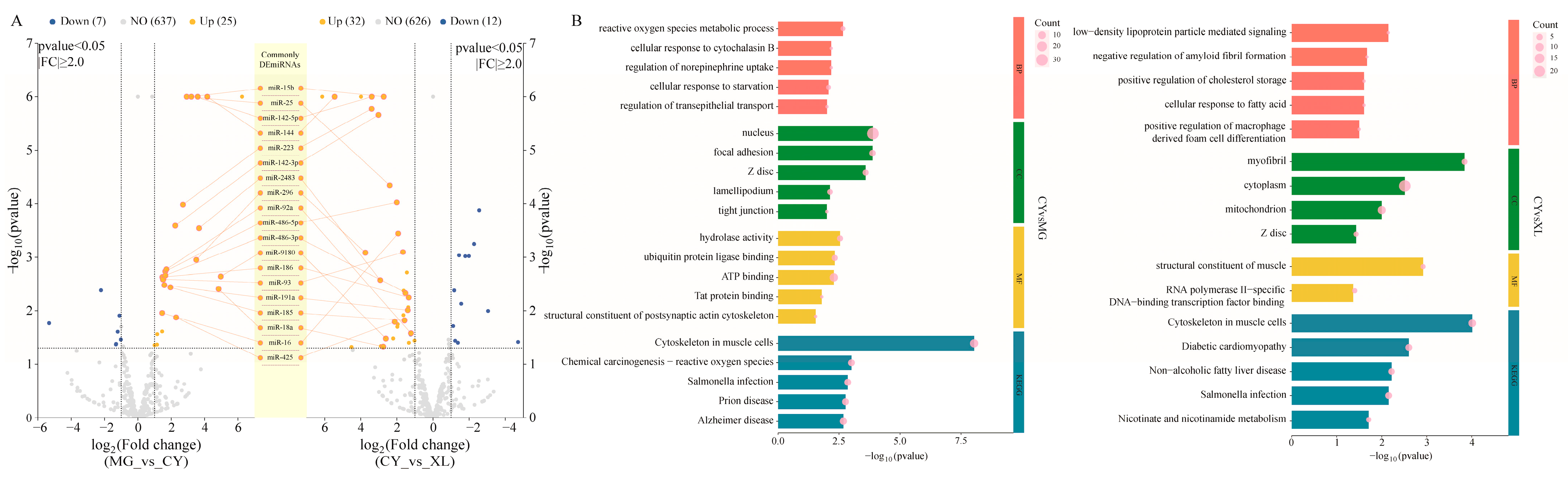 Animals 15 01123 g004 Animals 15 01123 g004