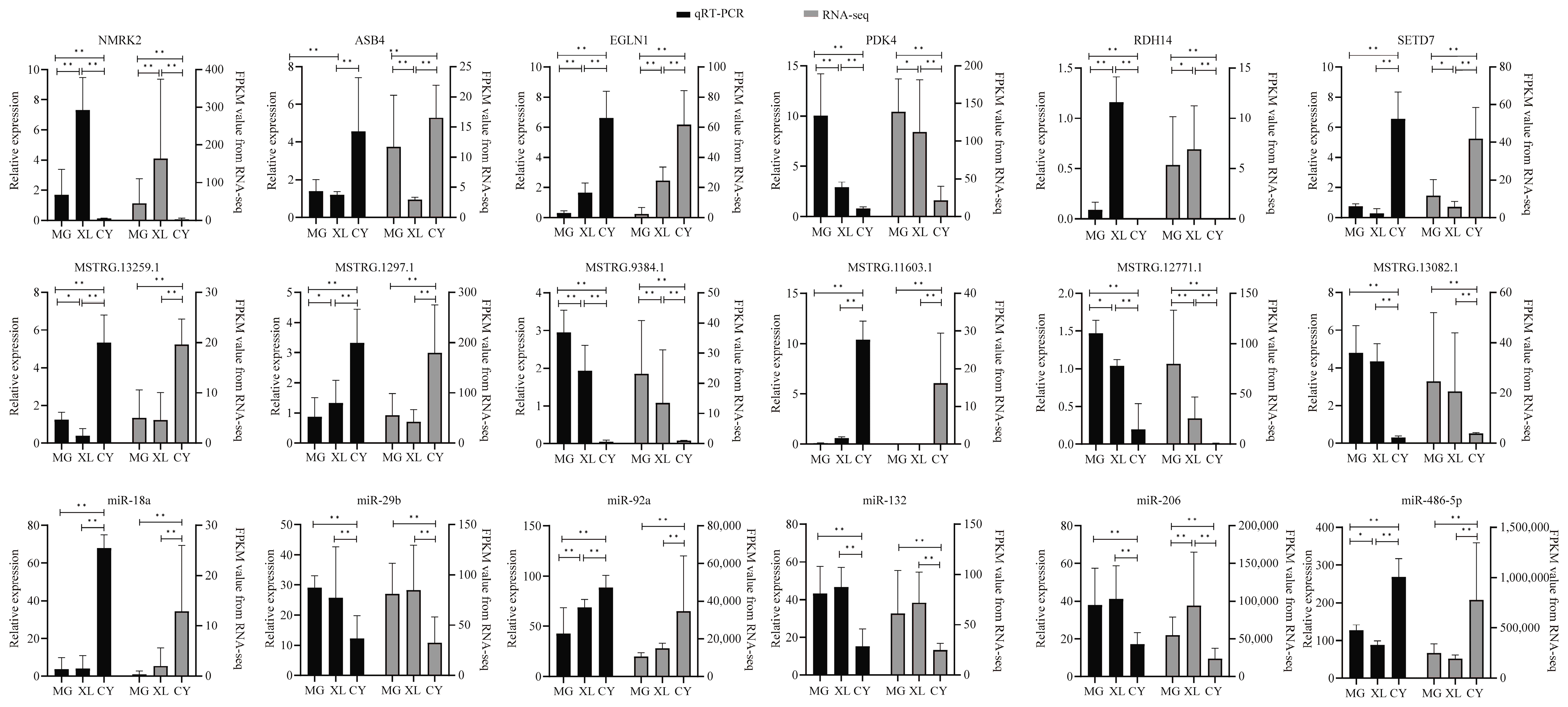 Animals 15 01123 g007 Animals 15 01123 g007