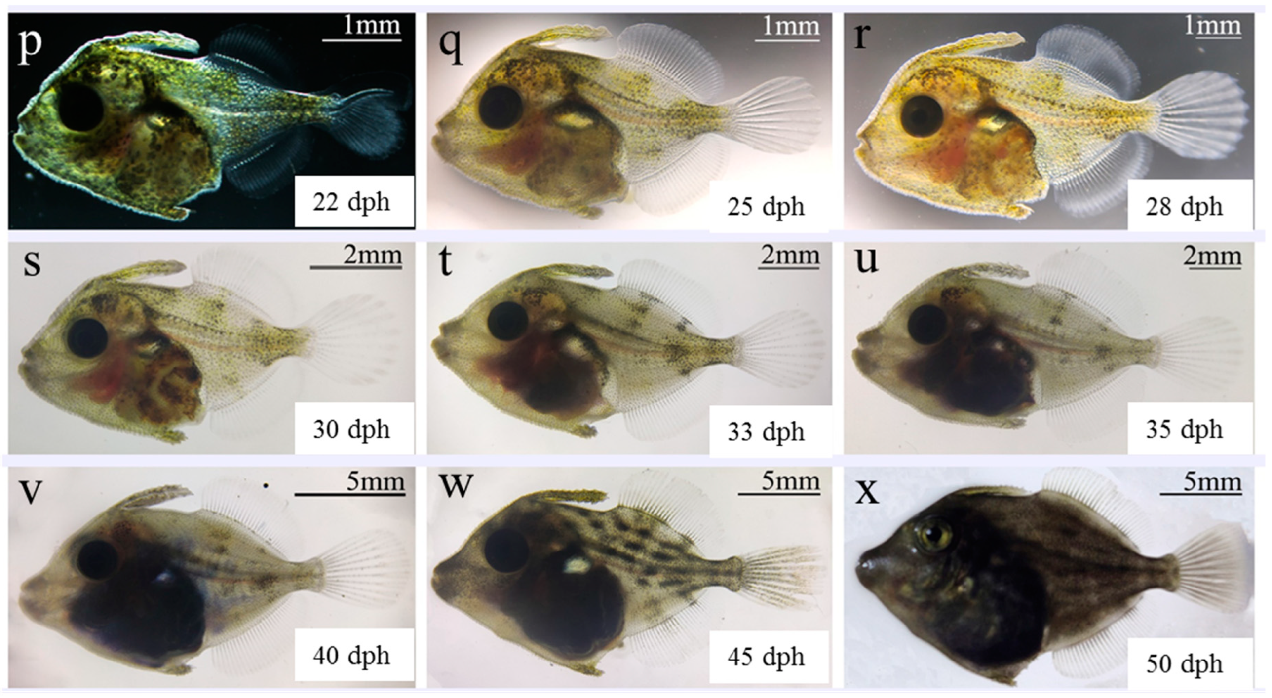 Animals 15 01124 g002b