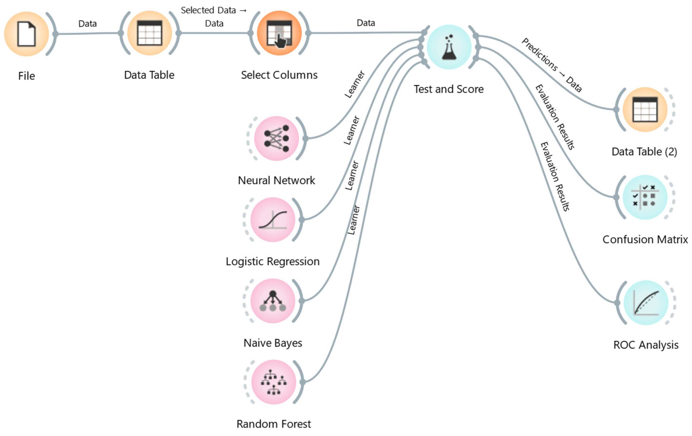 Animals 15 01125 g001