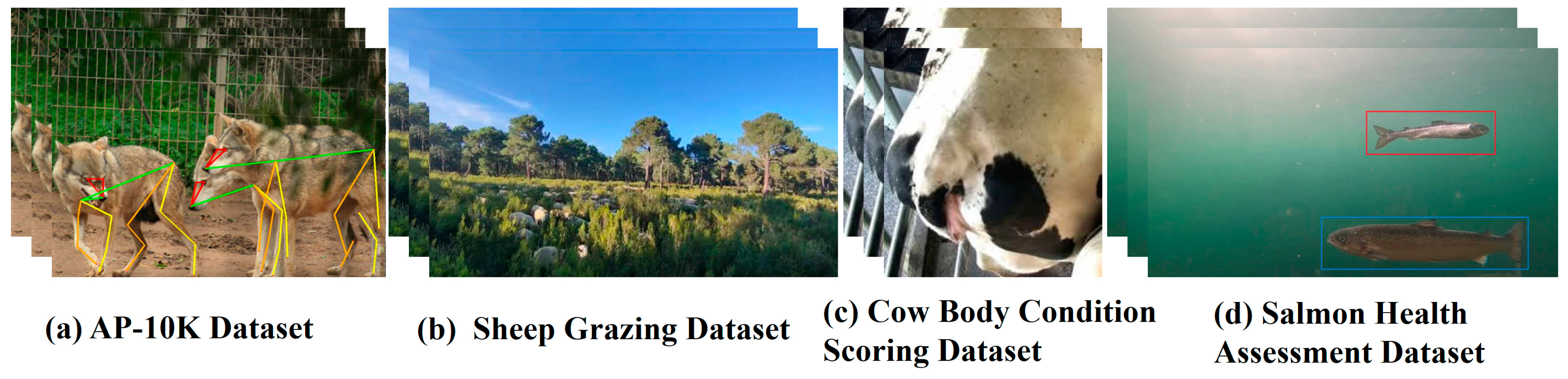 Animals 15 01126 g003