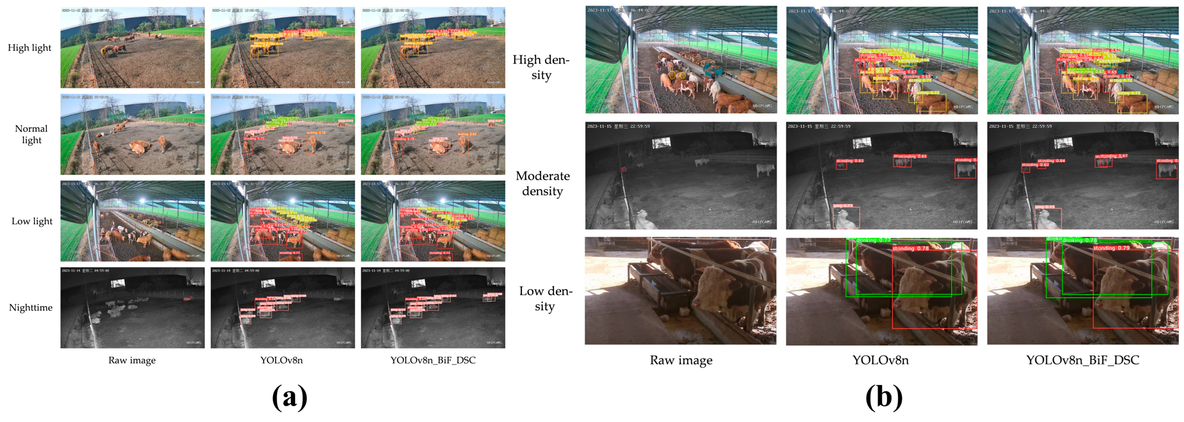 Animals 15 01126 g005