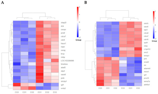 Molecular Mechanism of the Grid Gene Family Regulating Growth Size