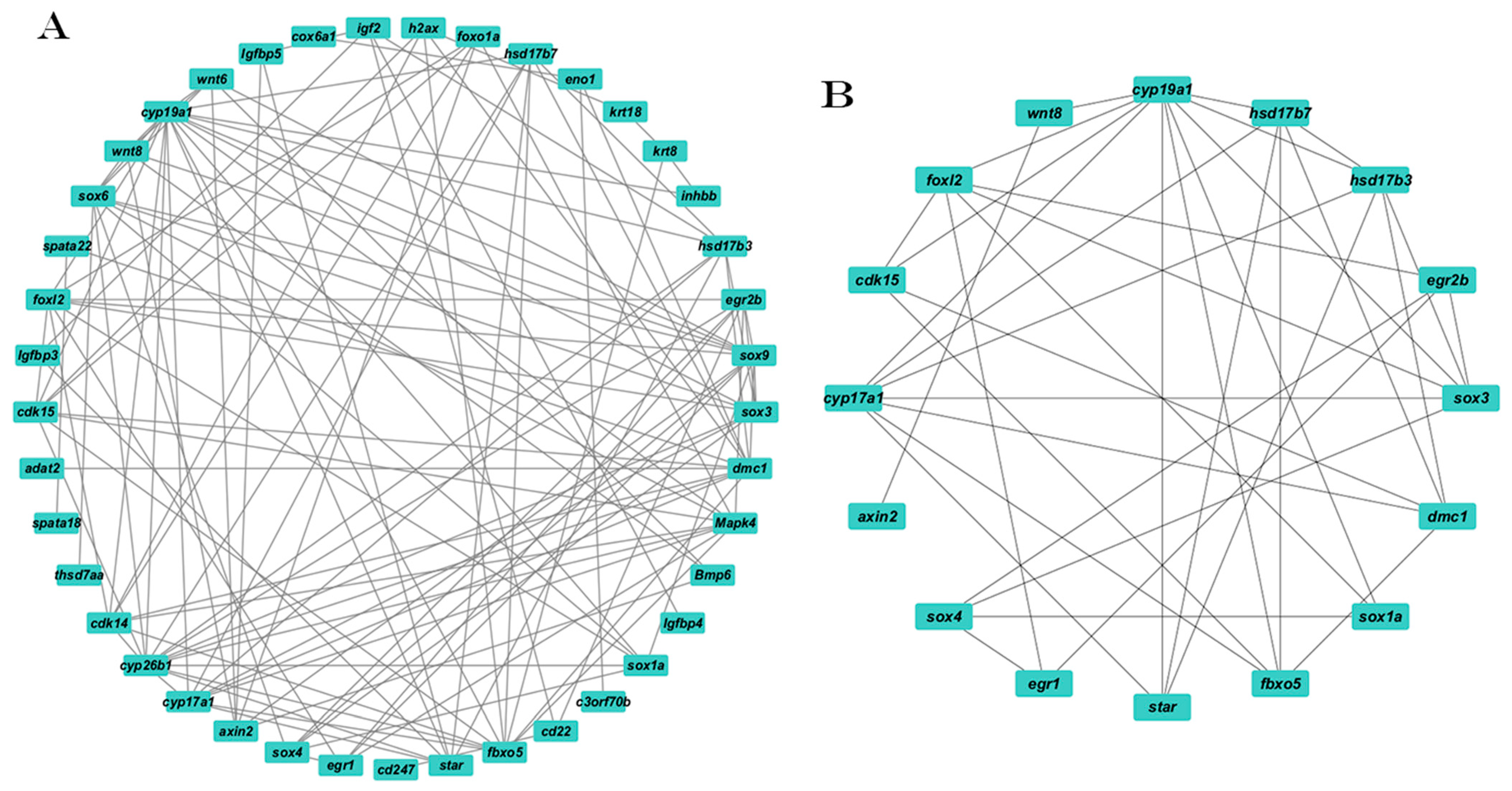 Animals 15 01134 g006