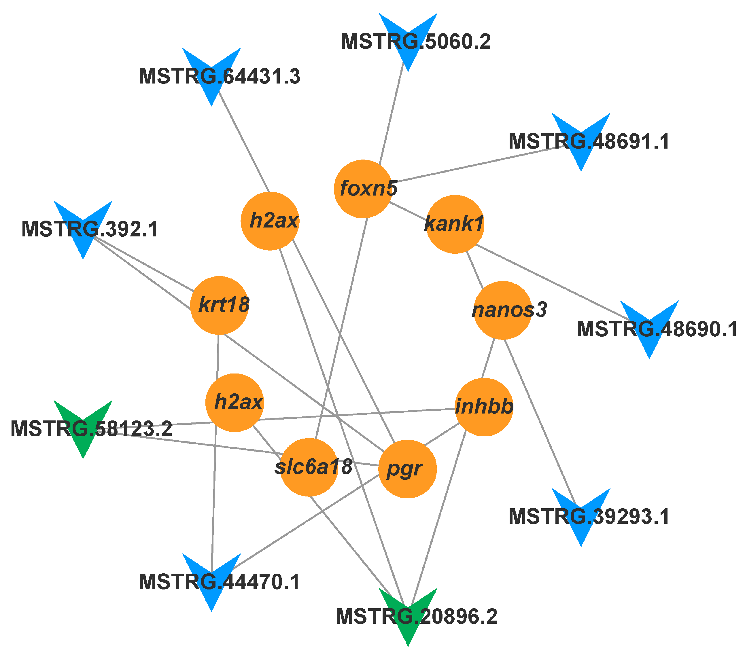 Animals 15 01134 g009
