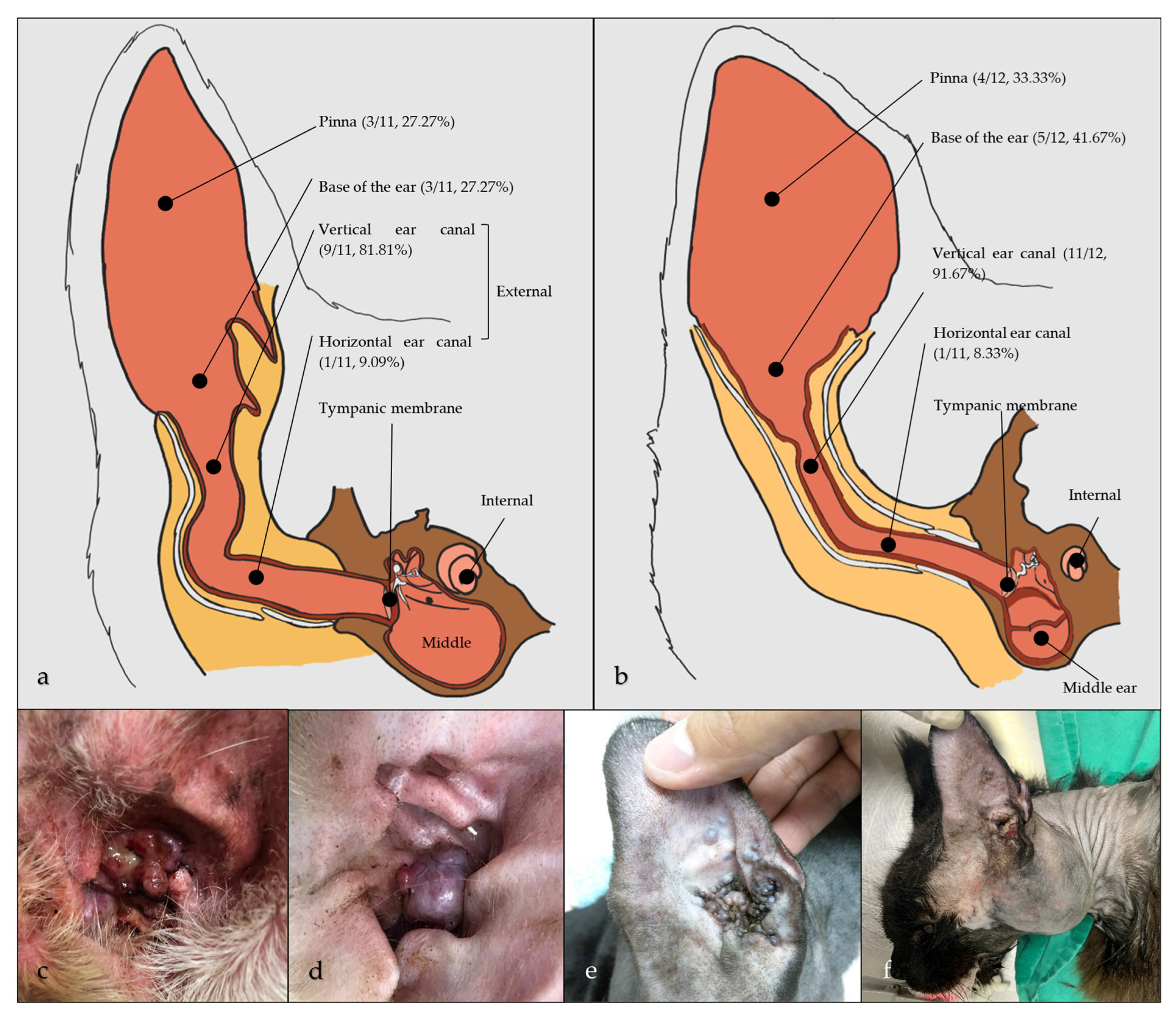 Animals 15 01138 g003