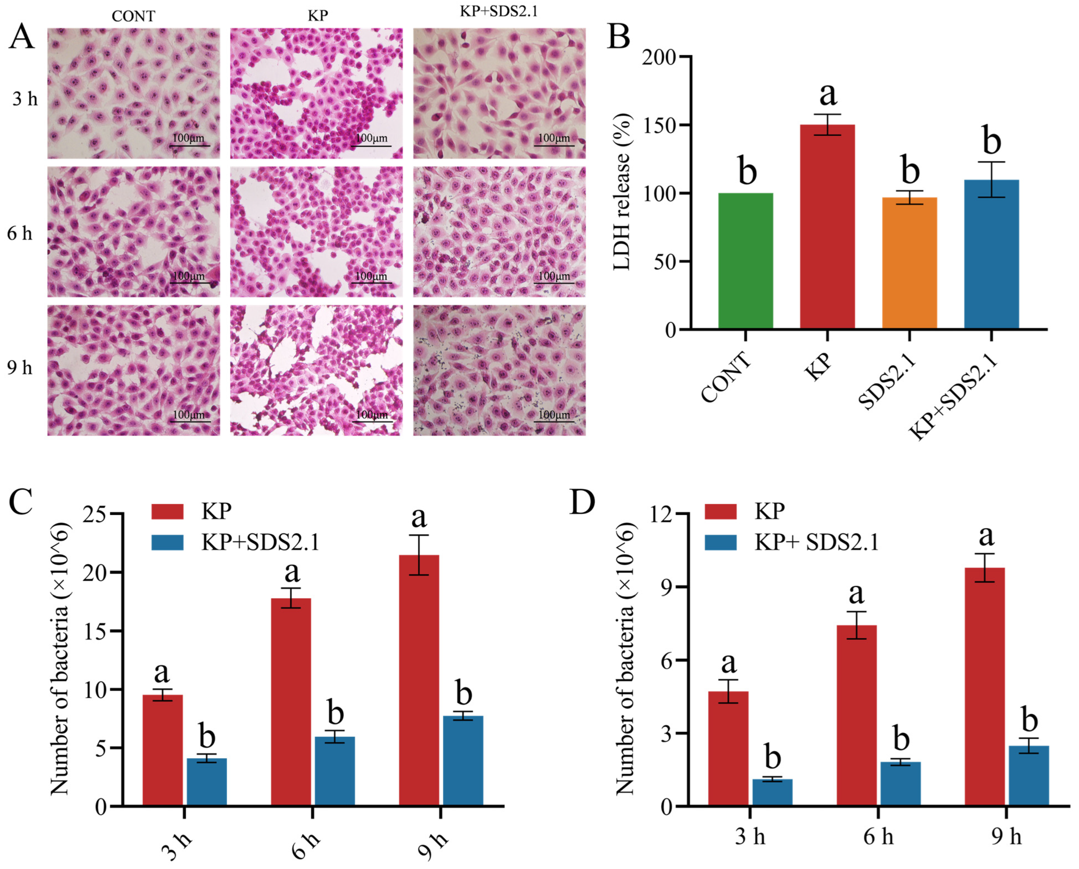 Animals 15 01139 g004