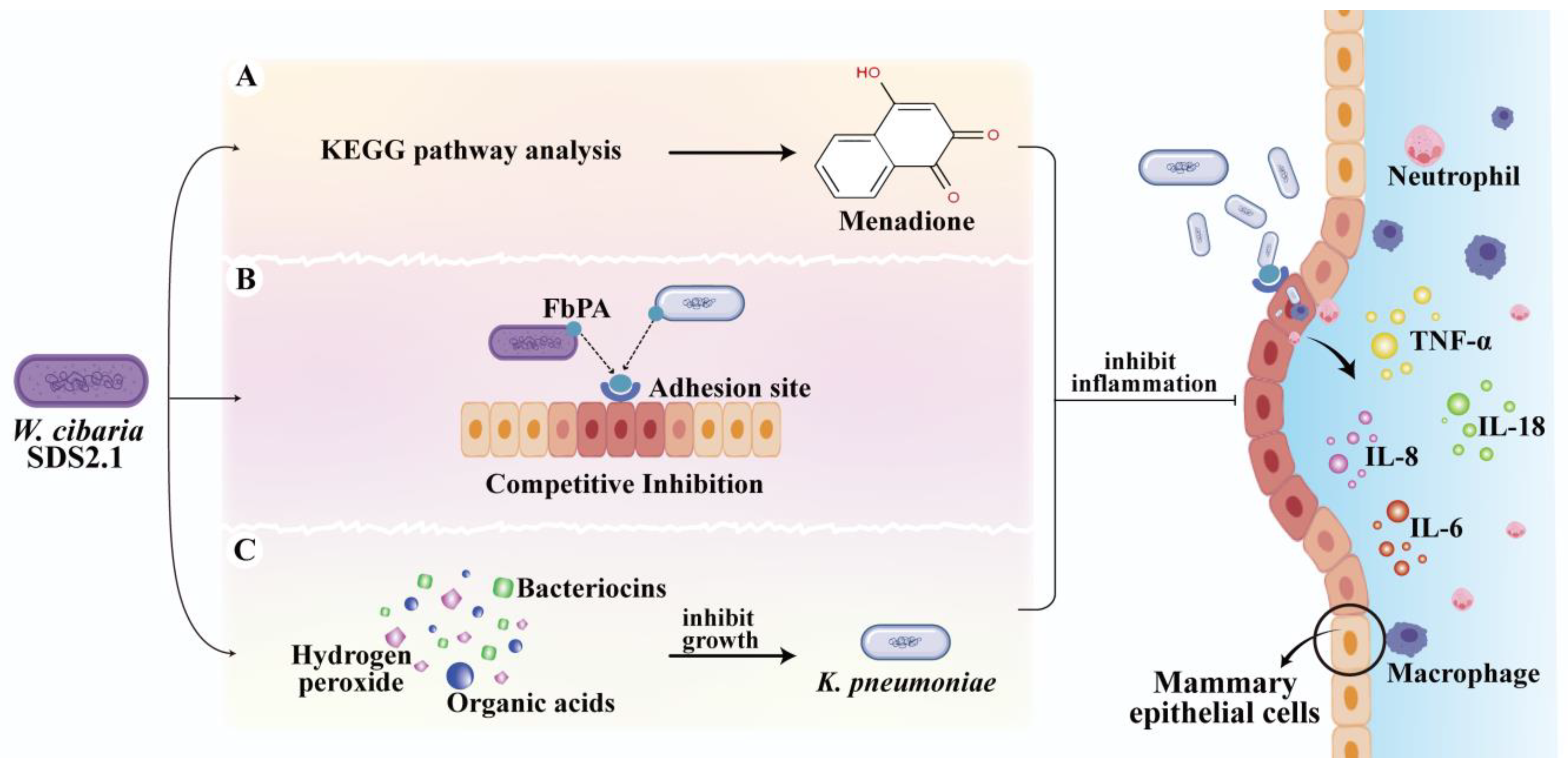 Animals 15 01139 g007