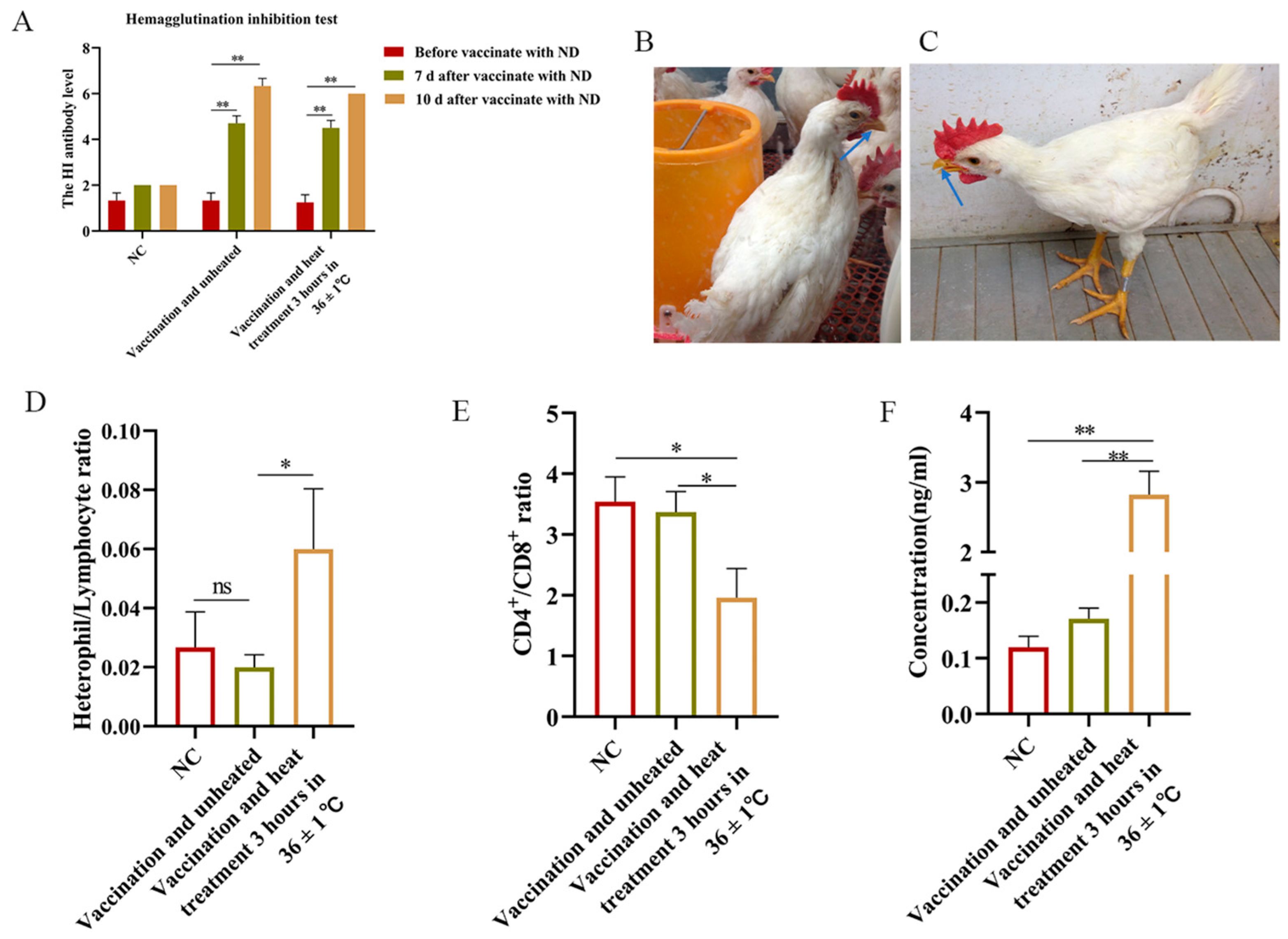 Animals 15 01141 g001