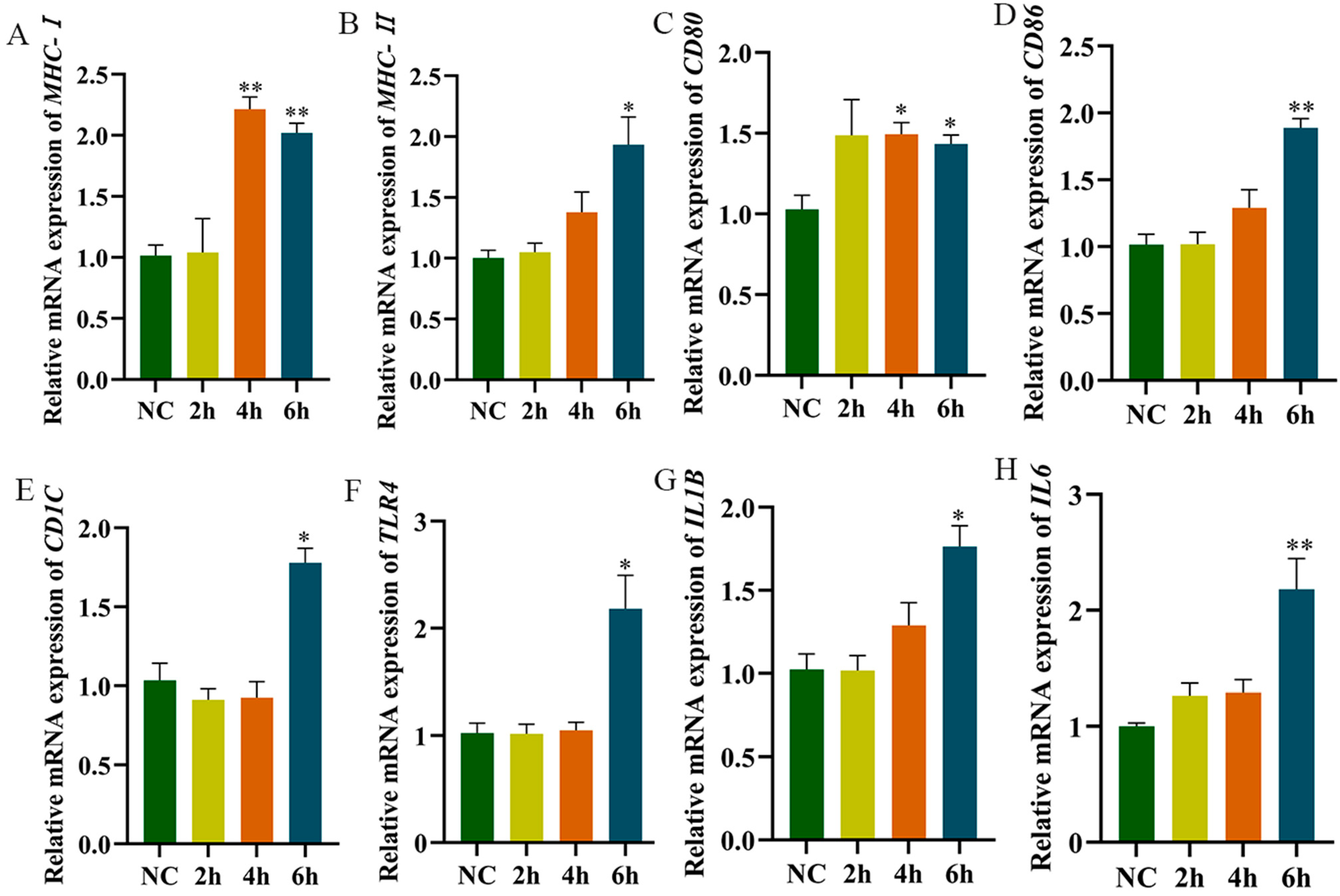 Animals 15 01141 g005