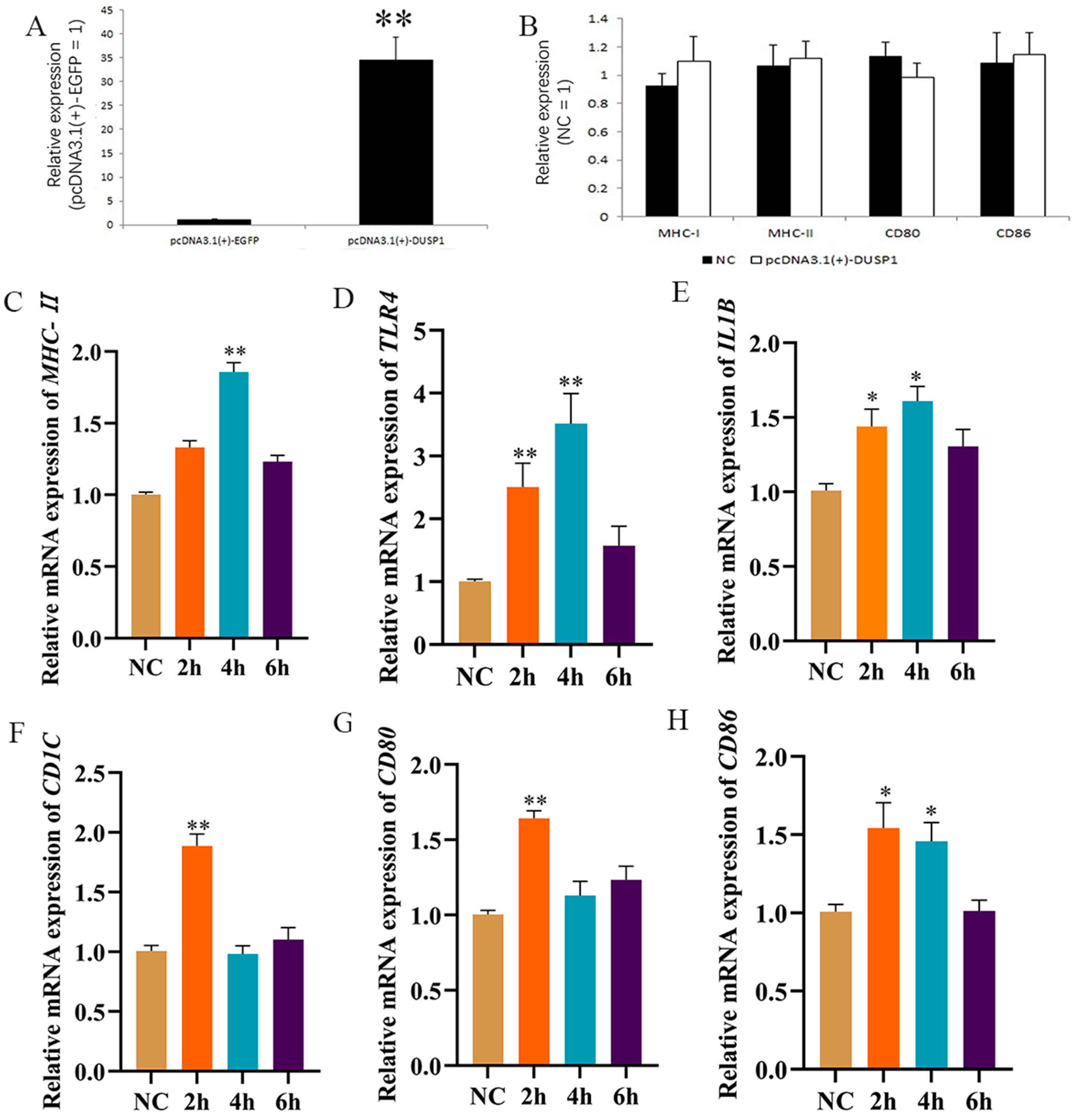 Animals 15 01141 g006